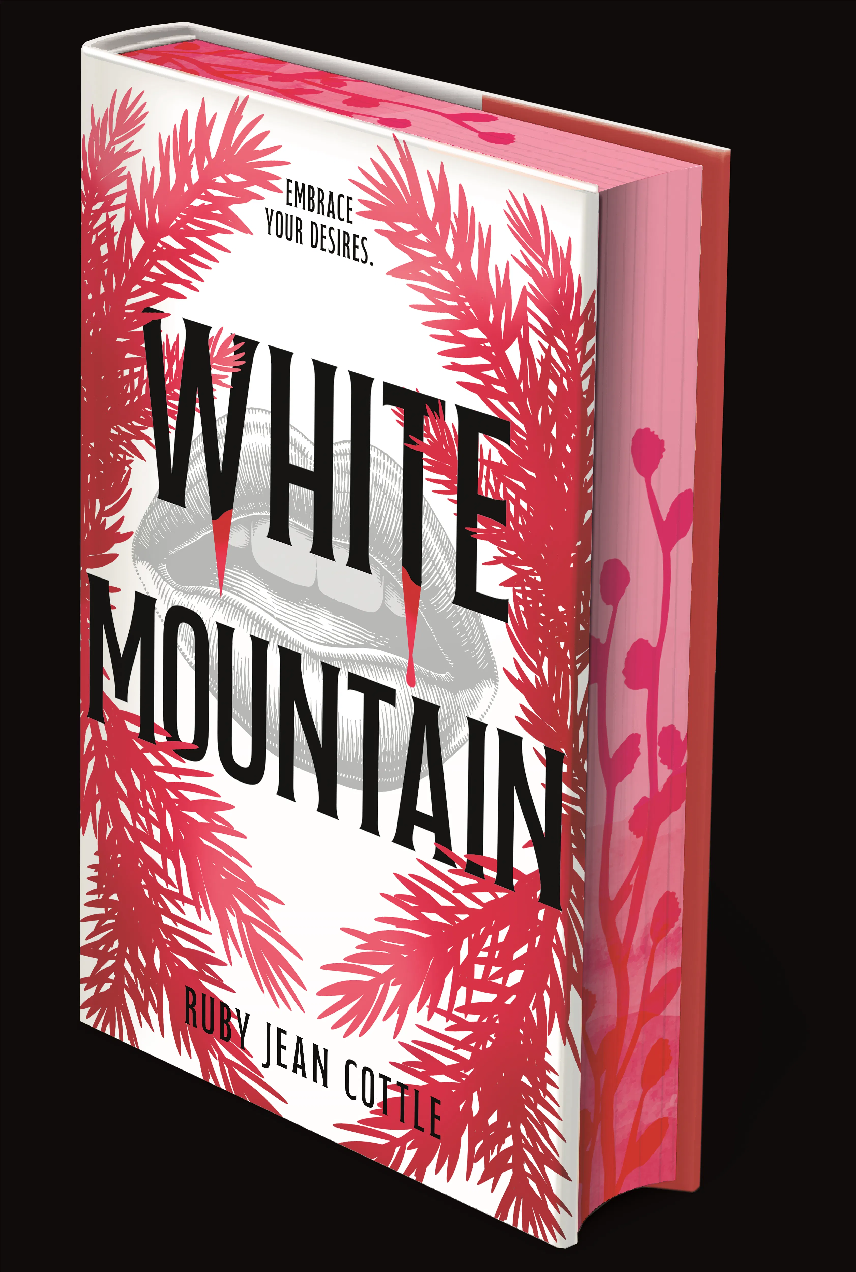 t*a様 THE MOUNTAIN (THE WHITE LABEL) 9781250451767.jpg?v=2&w=900&dpr=2