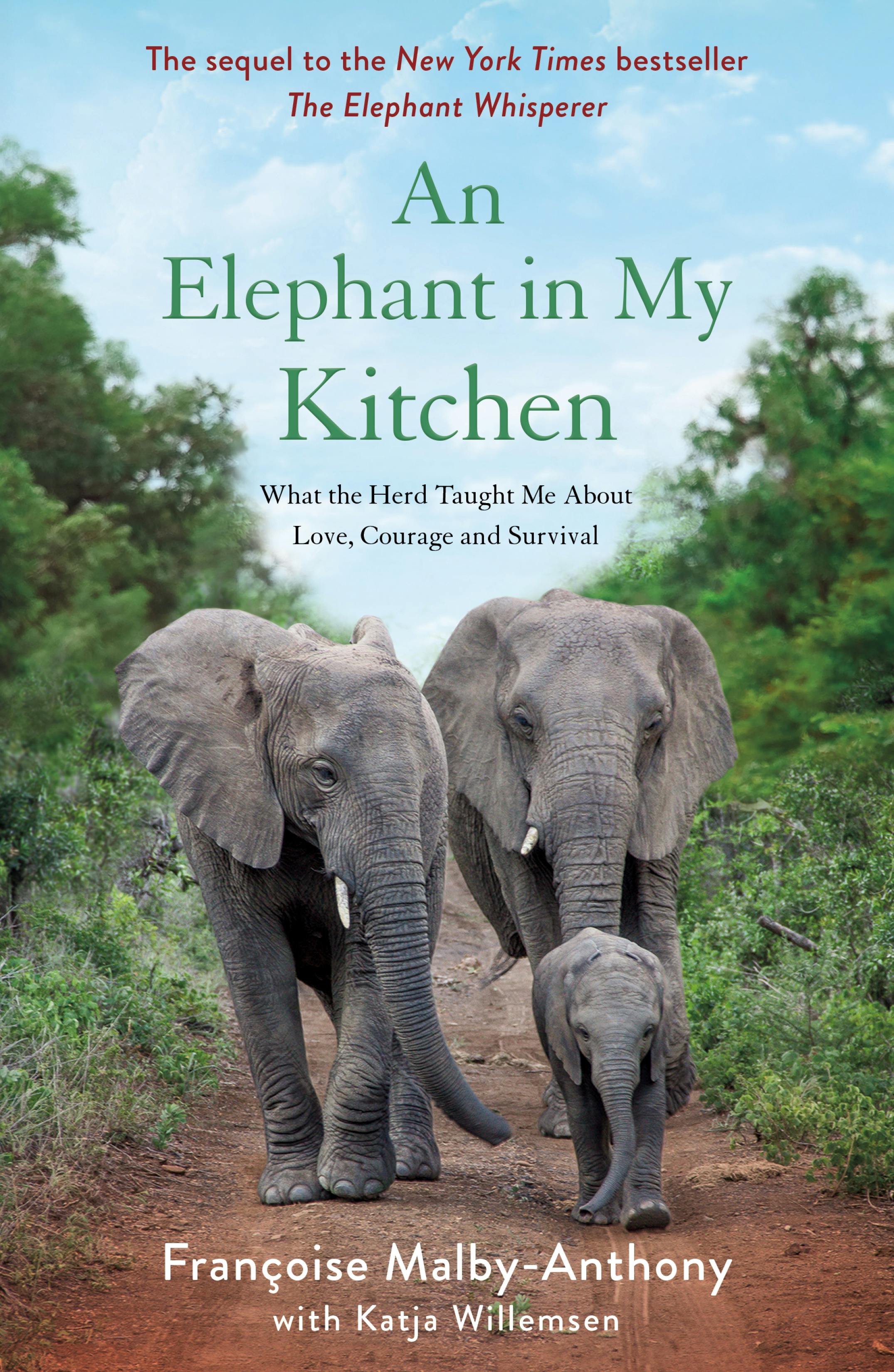 Elephant in My Kitchen