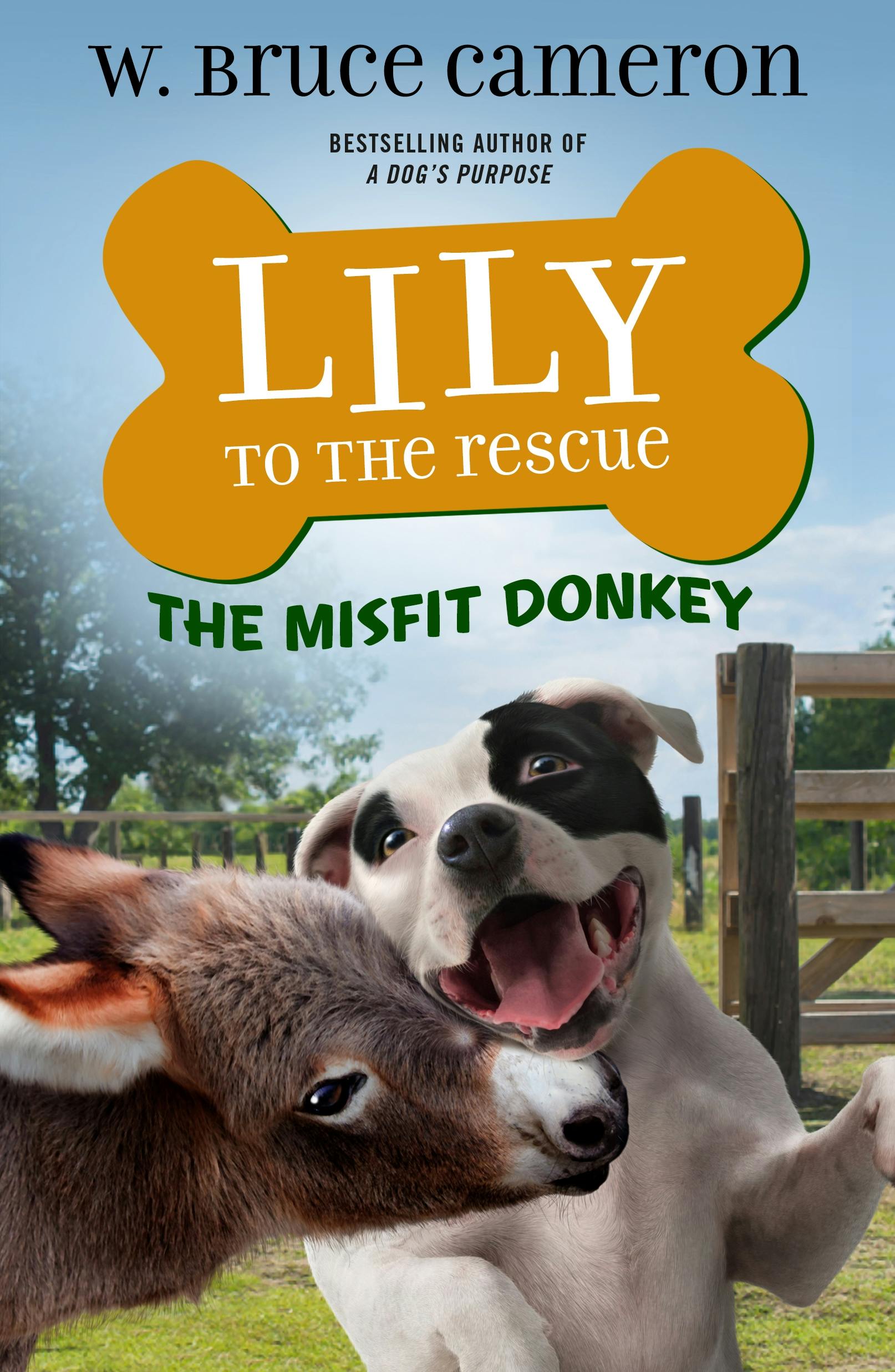 Image of Lily to the Rescue: The Misfit Donkey