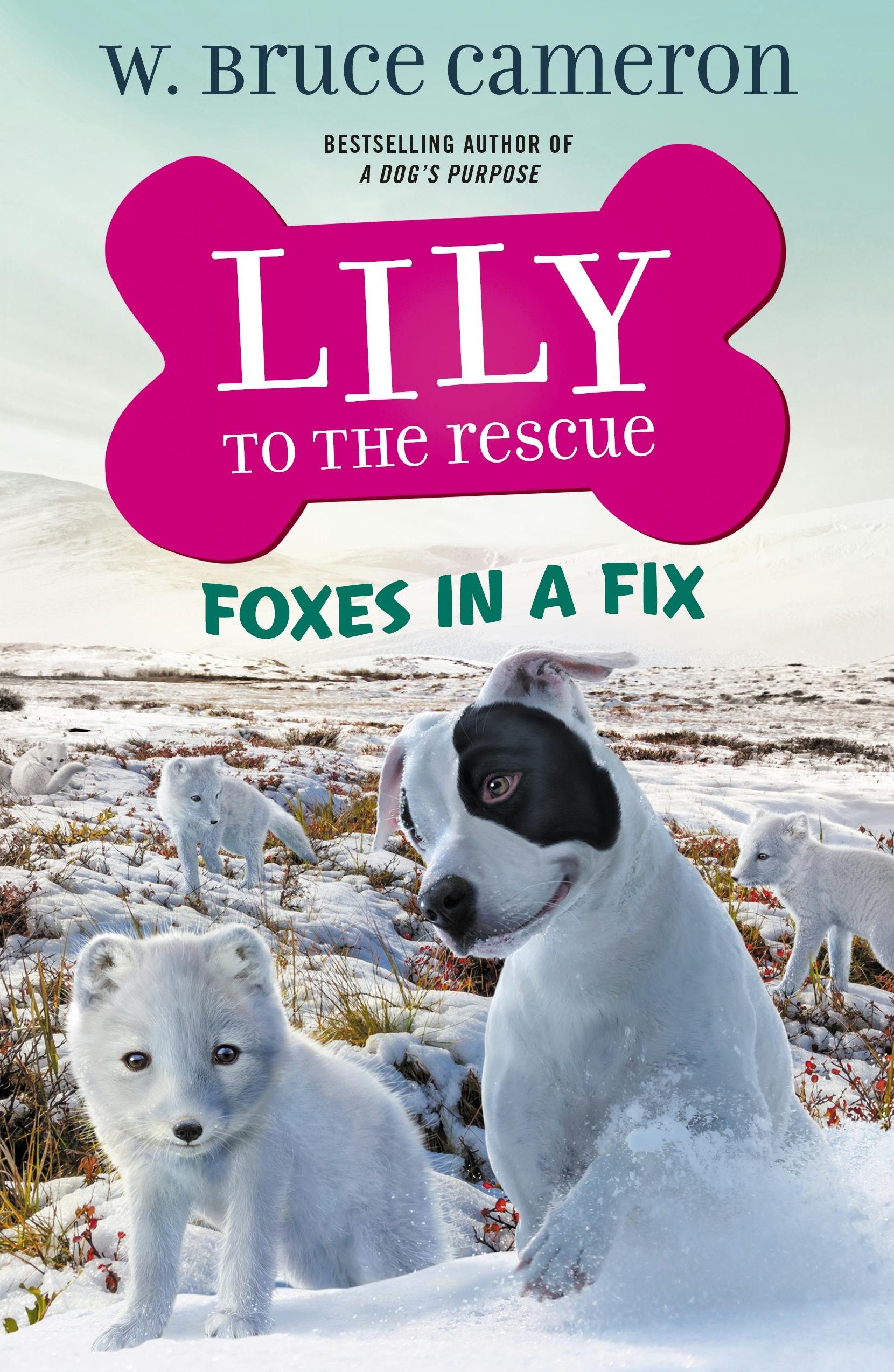 Image of Lily to the Rescue: Foxes in a Fix