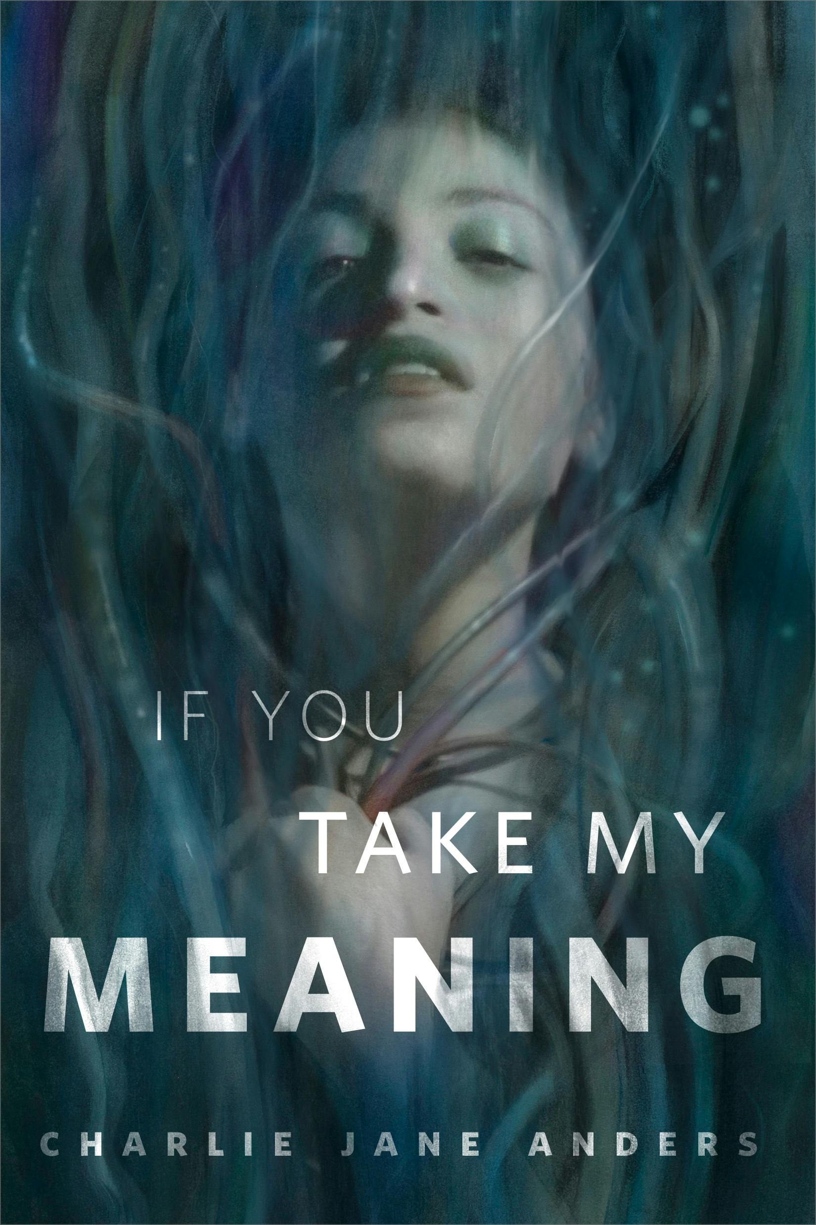 Cover for the book titled as: If You Take My Meaning