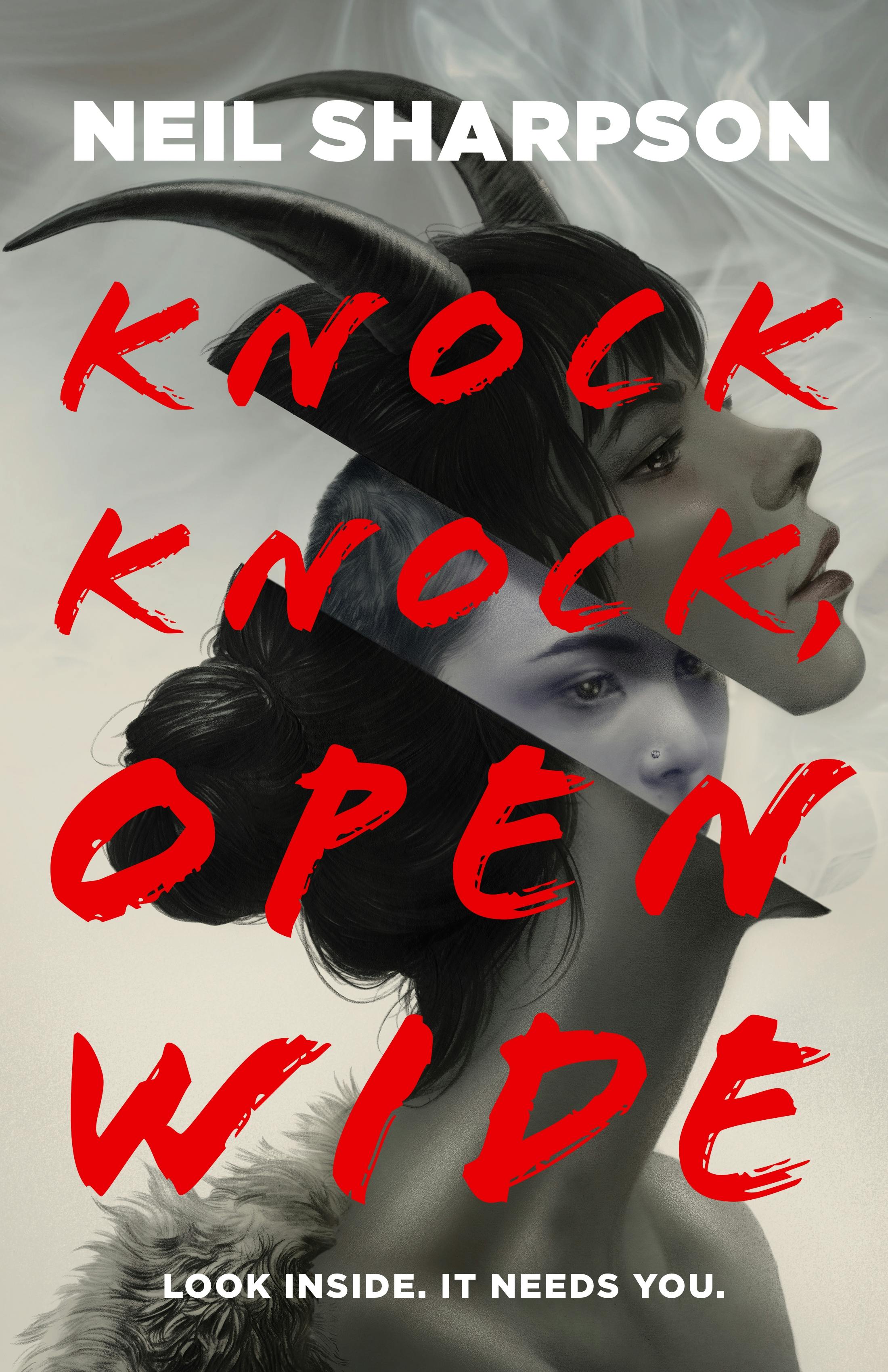 Cover for the book titled as: Knock Knock, Open Wide