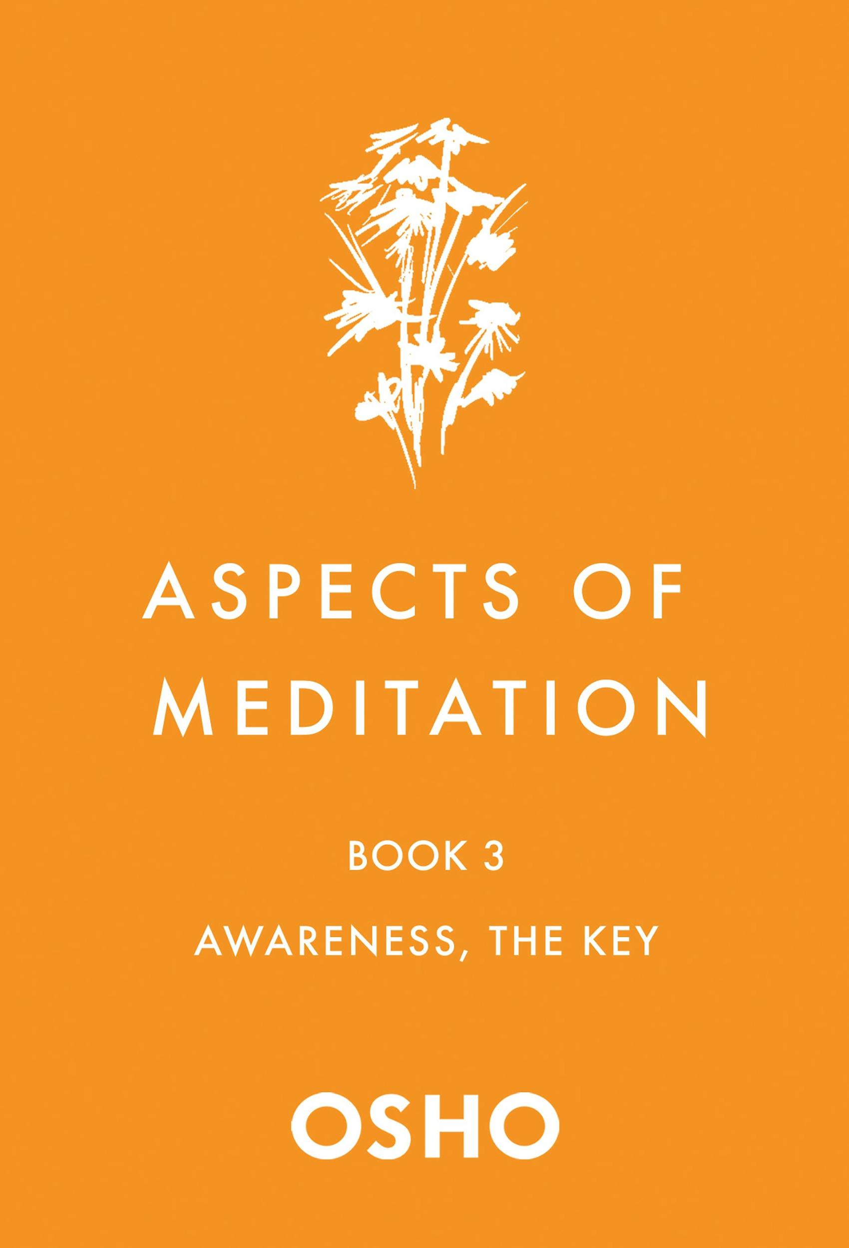 Image of Aspects of Meditation Book 3