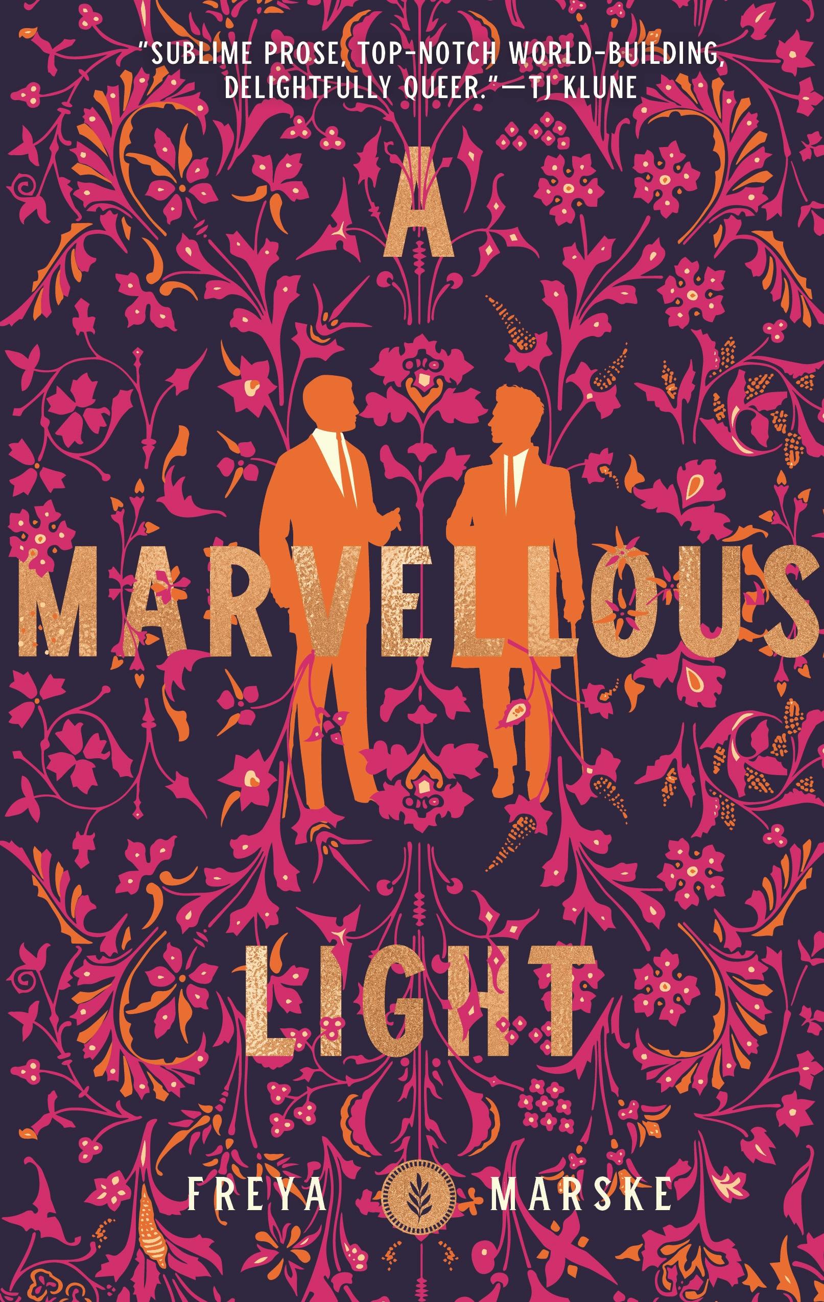 Cover for the book titled as: A Marvellous Light