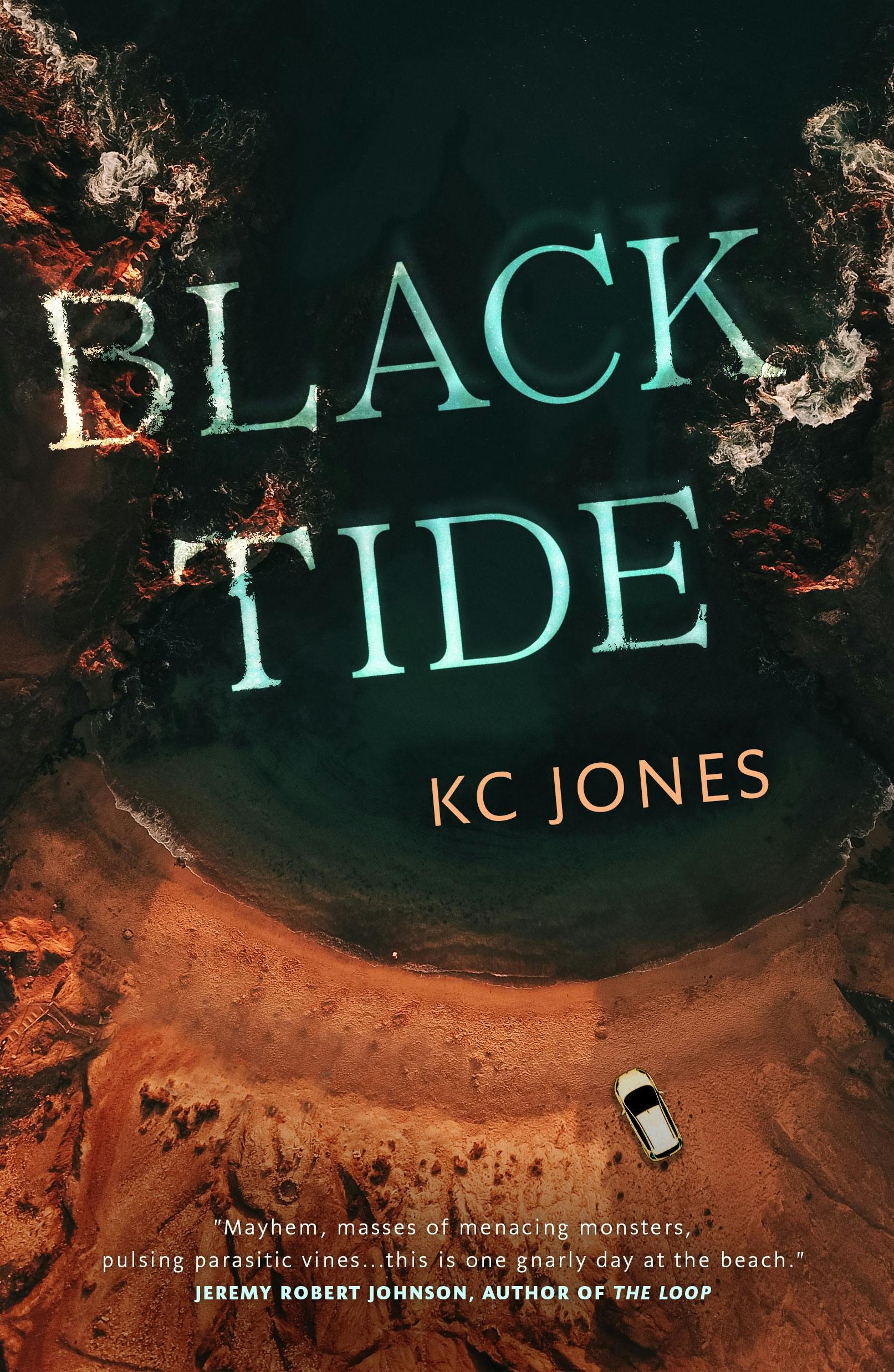 Cover for the book titled as: Black Tide
