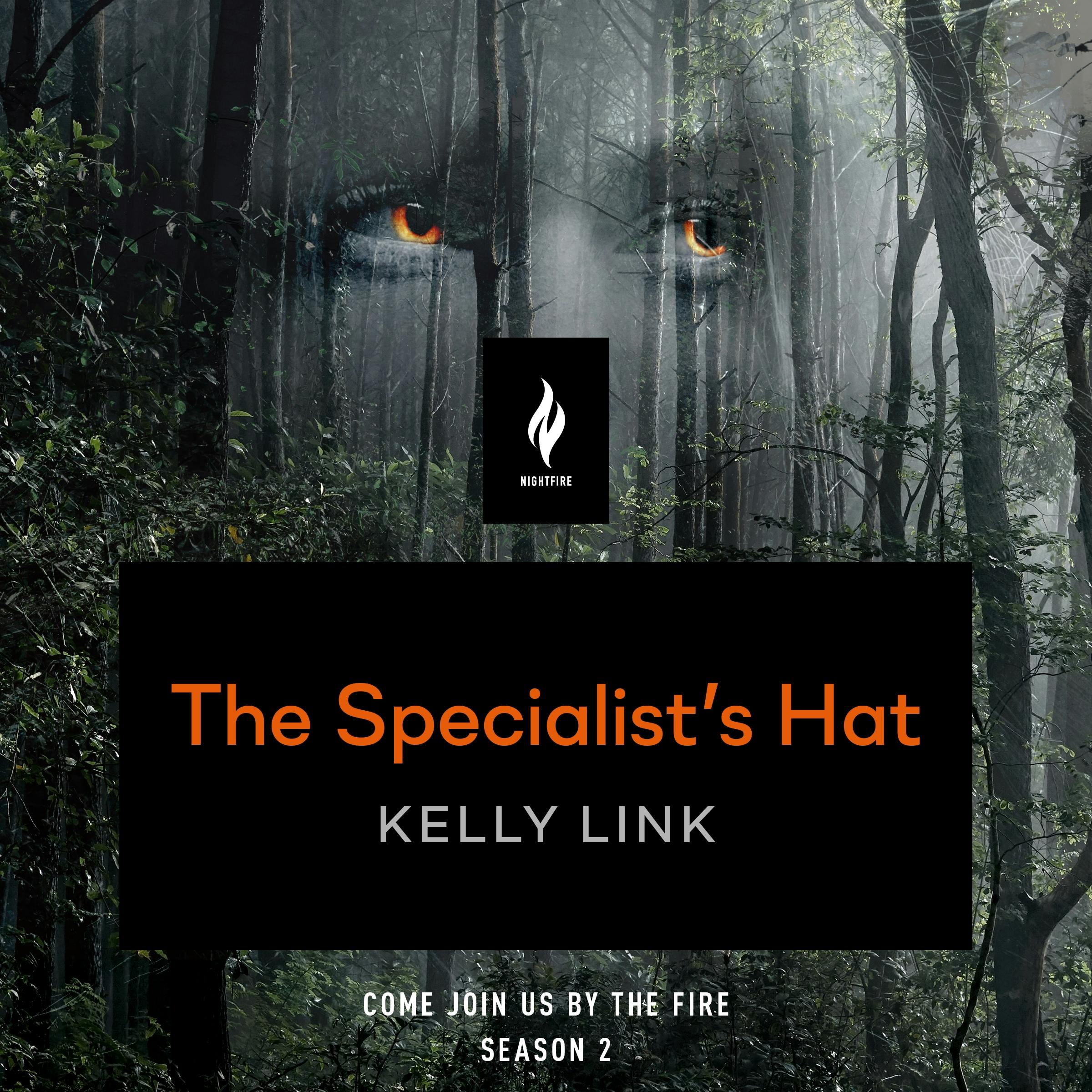 Image of The Specialist's Hat