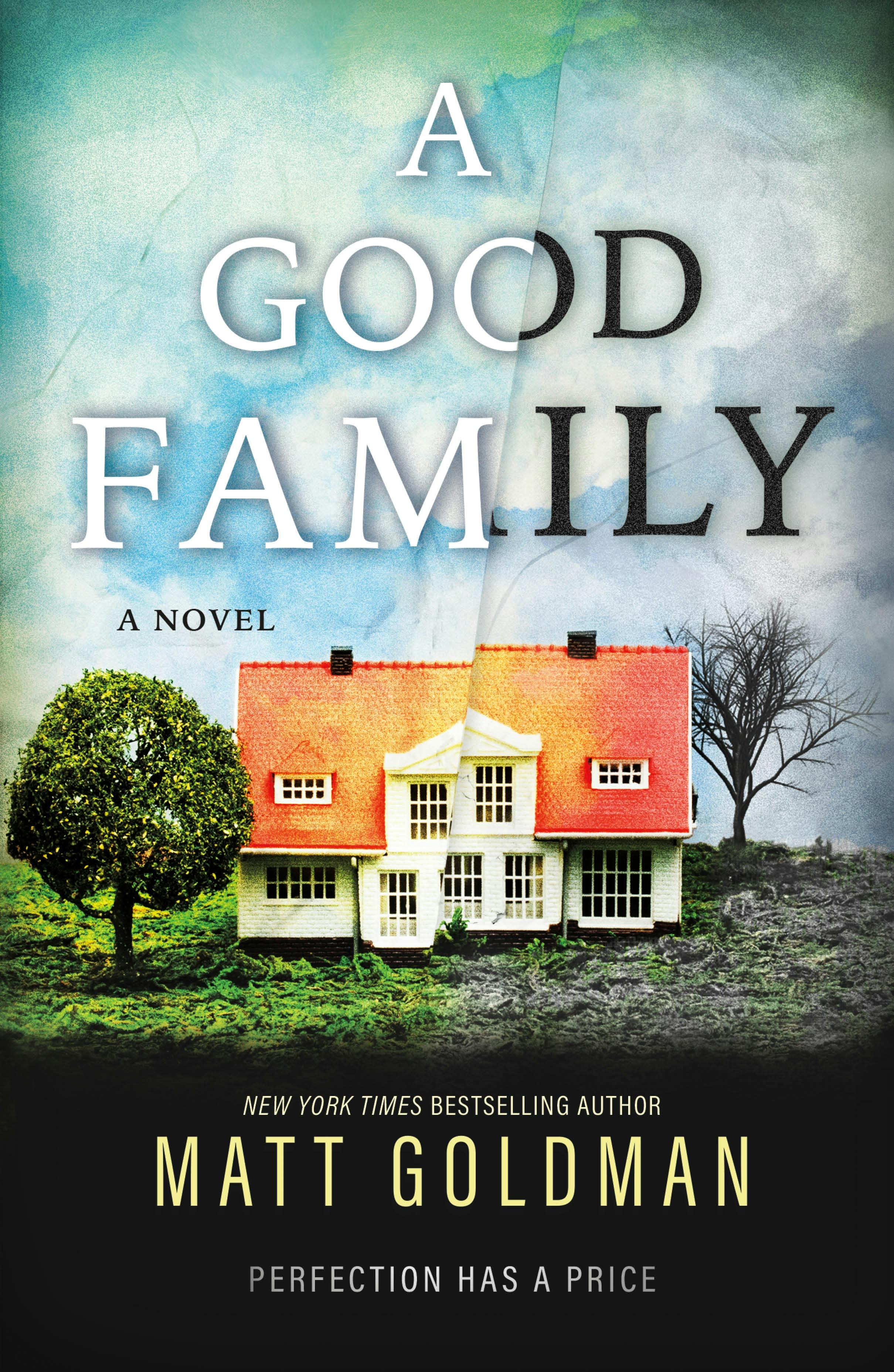 Cover for the book titled as: A Good Family