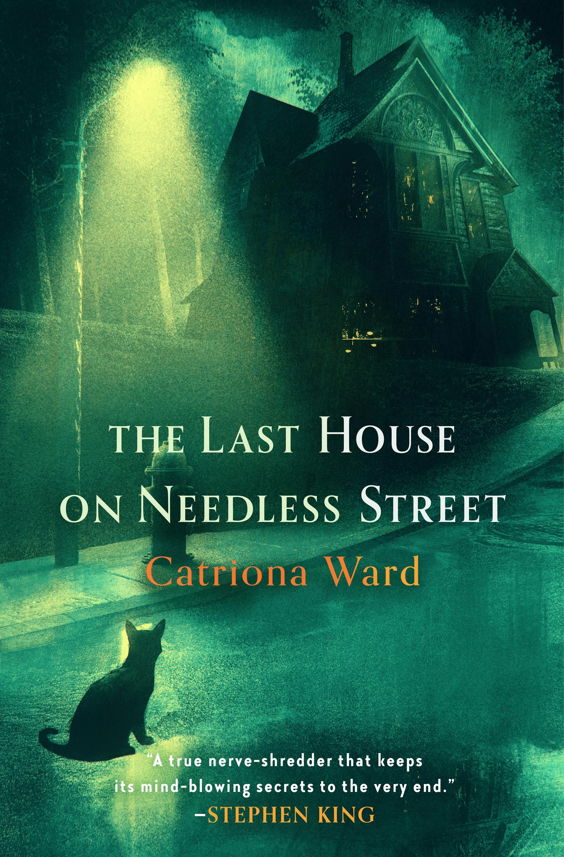 Cover for the book titled as: The Last House on Needless Street