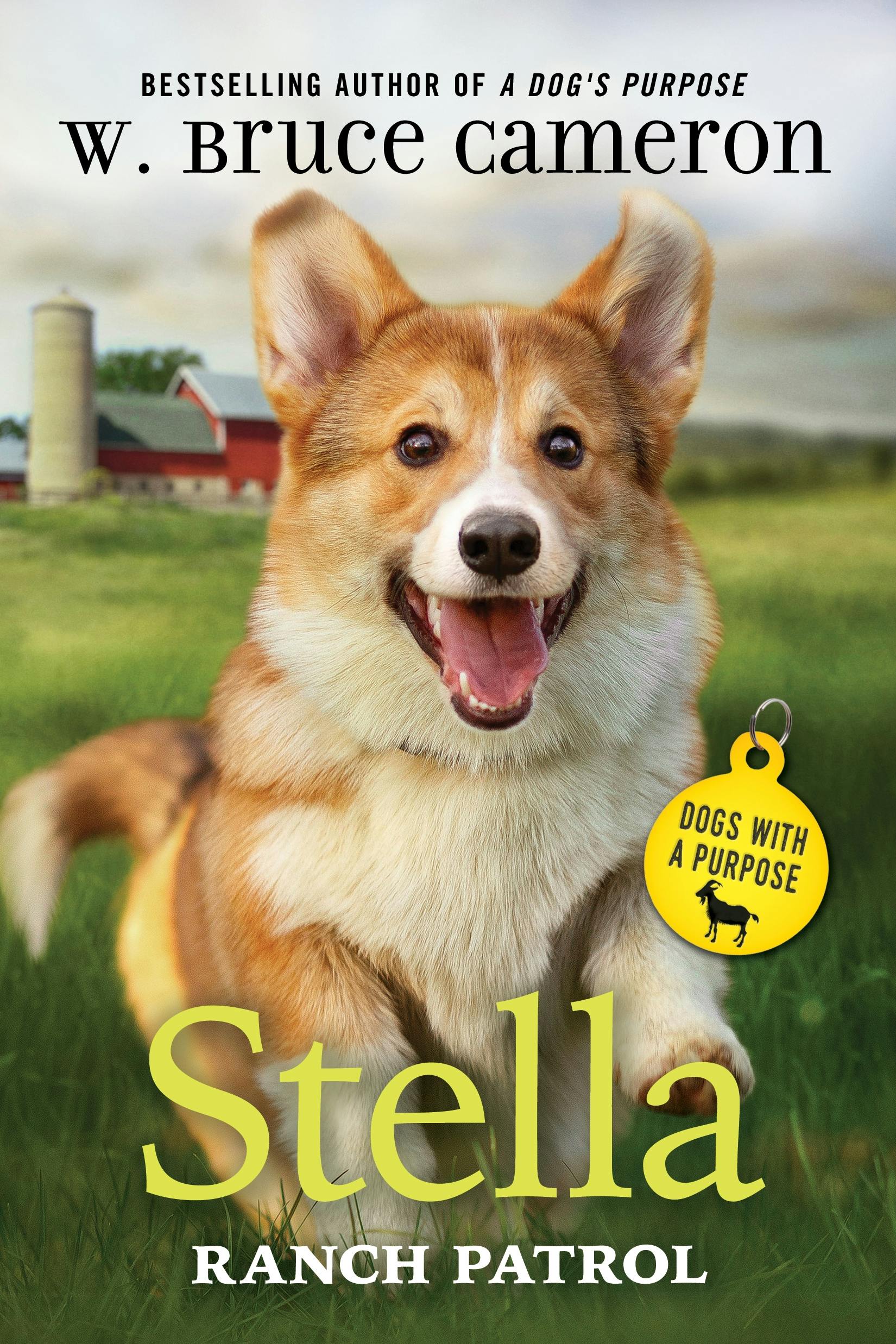 Cover for the book titled as: Stella: Ranch Patrol