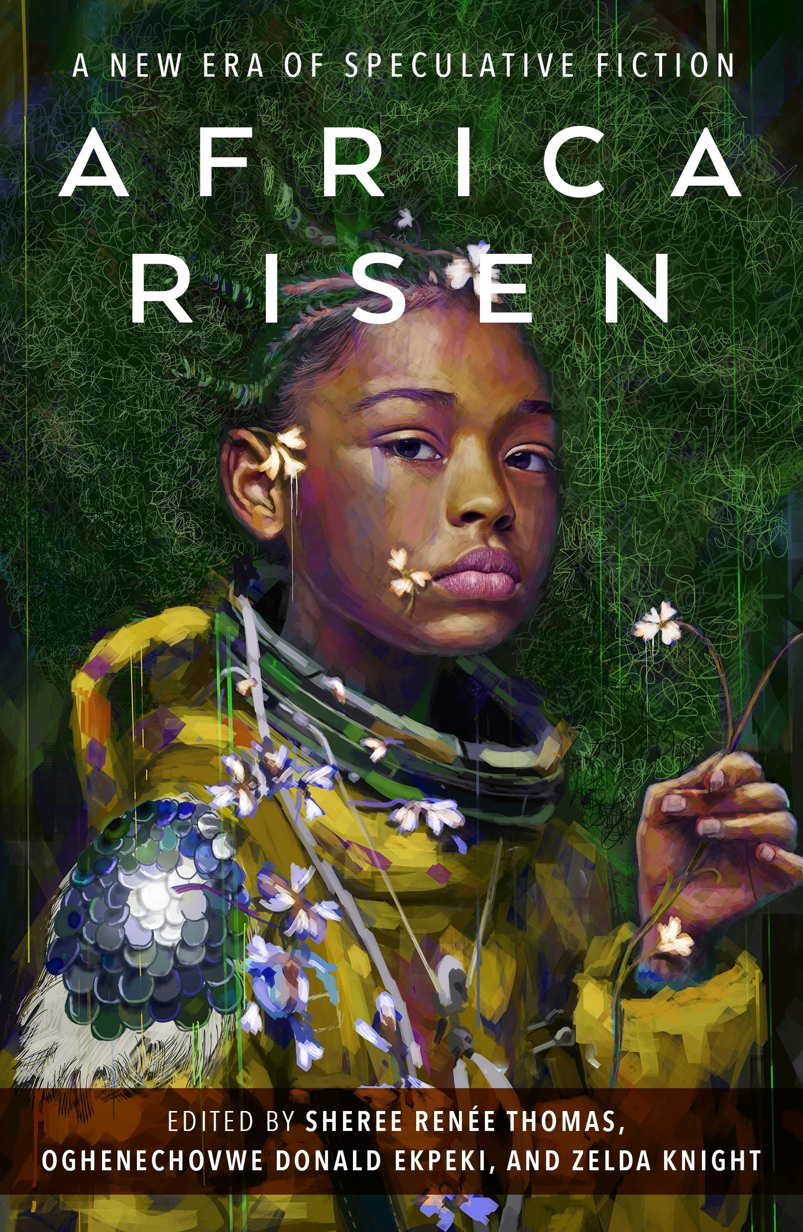 Cover for the book titled as: Africa Risen