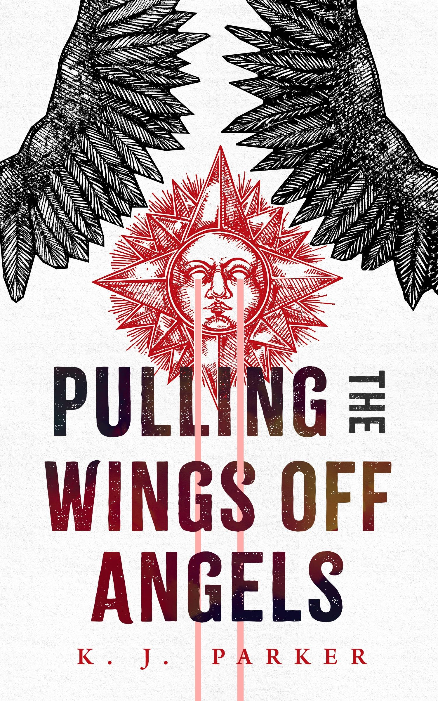 Cover for the book titled as: Pulling the Wings Off Angels