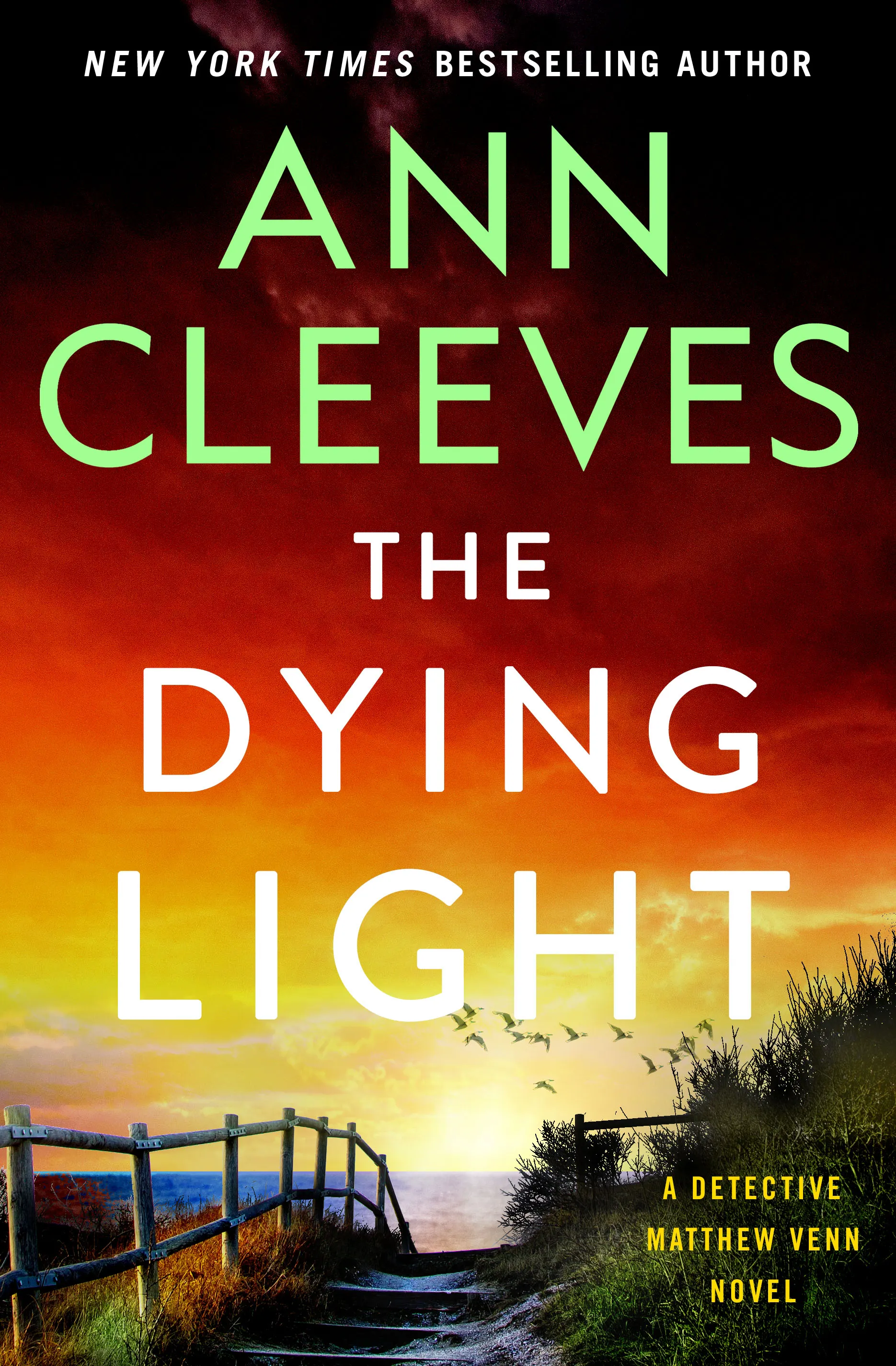 The Dying Light
