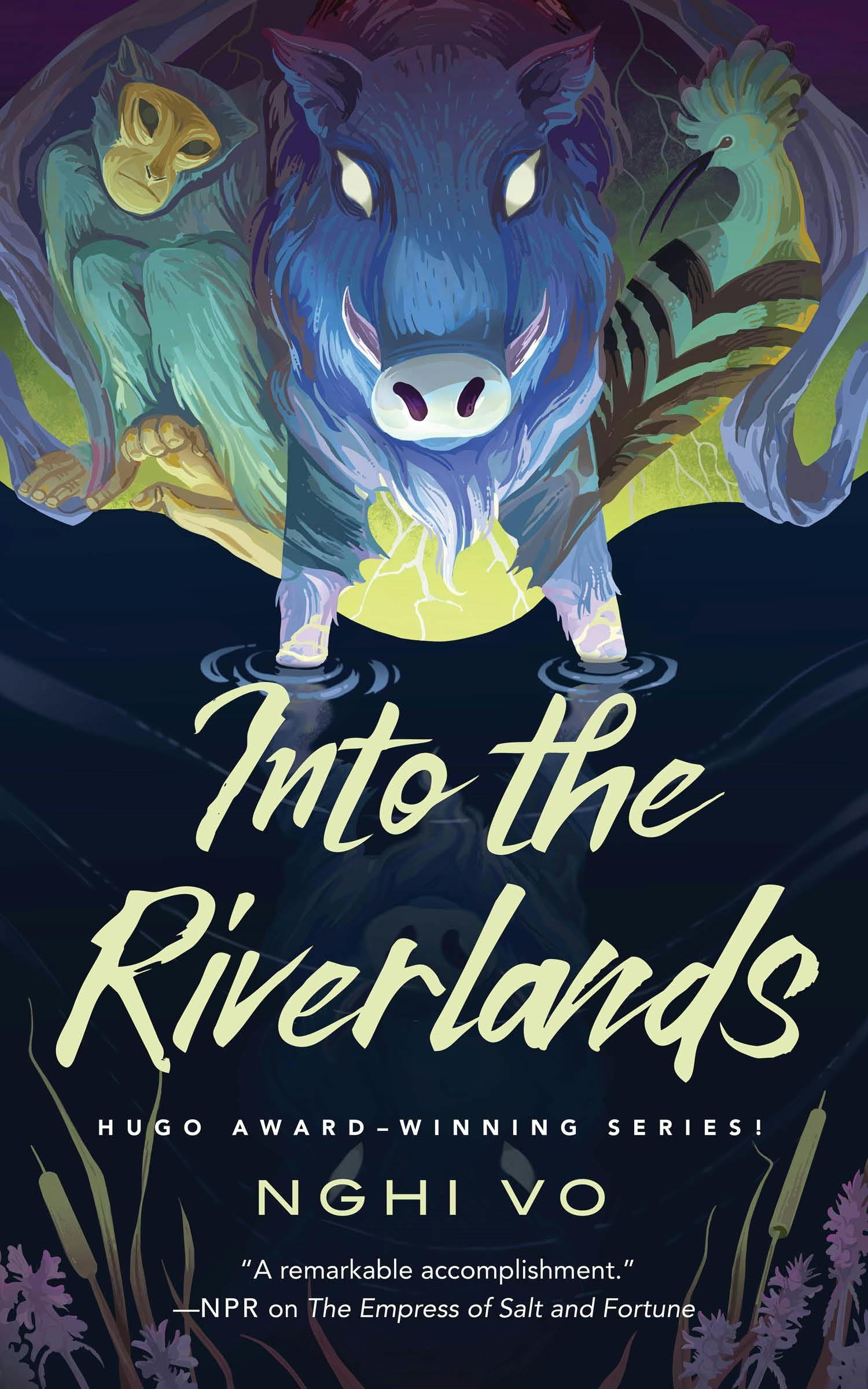 Cover for the book titled as: Into the Riverlands