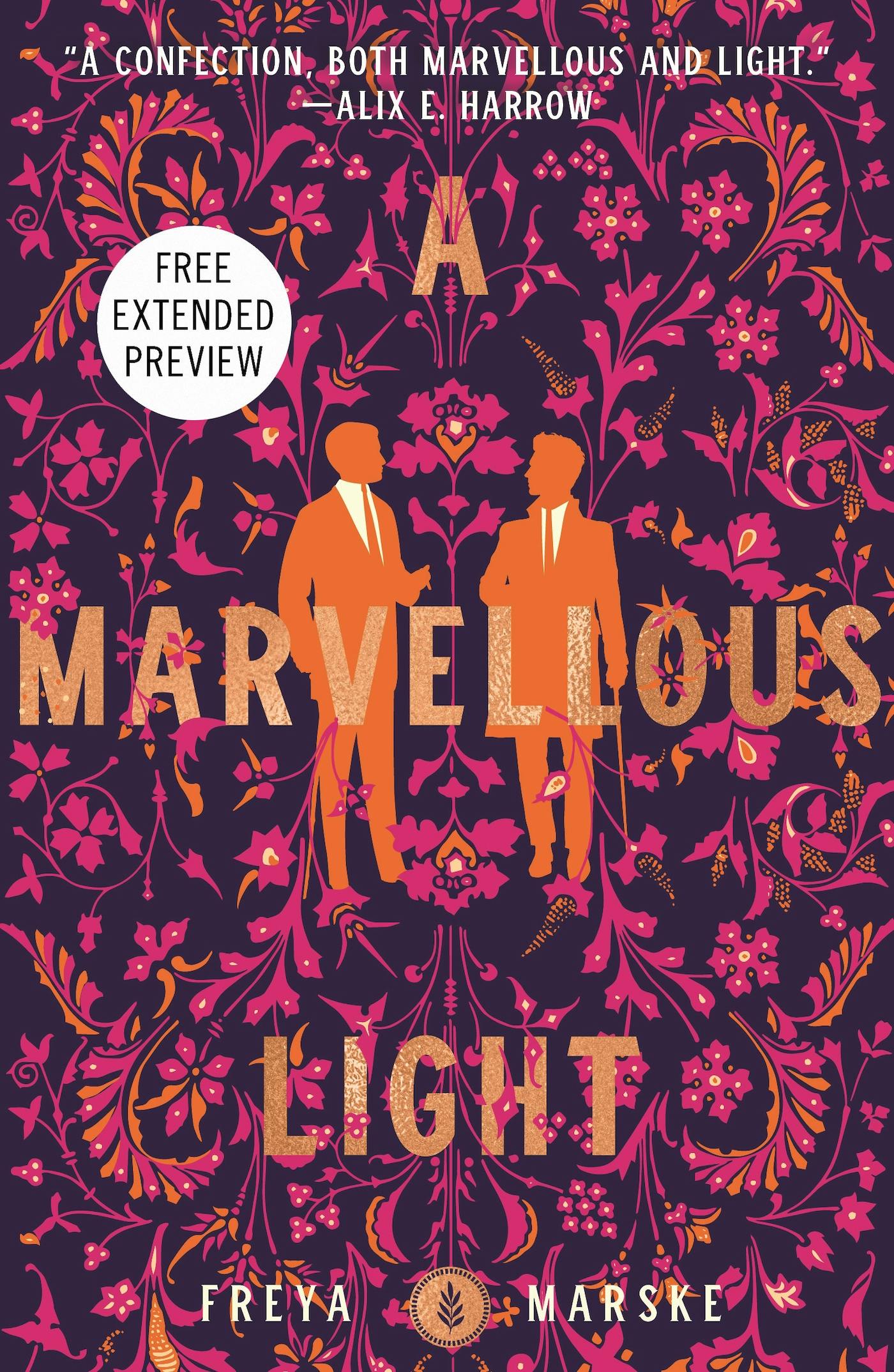 Cover for the book titled as: A Marvellous Light Sneak Peek