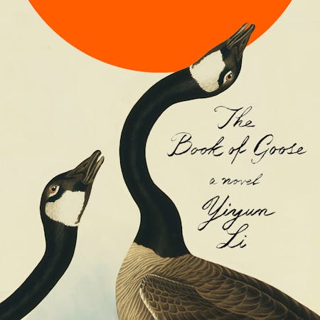 THE BOOK OF GOOSE | Read by Caroline Hewitt | Macmillan Audio