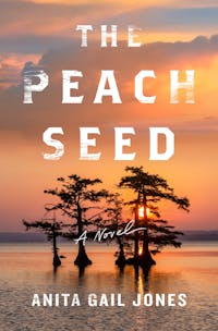 The Peach Seed book cover