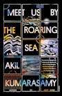 Book cover of Meet Us by the Roaring Sea