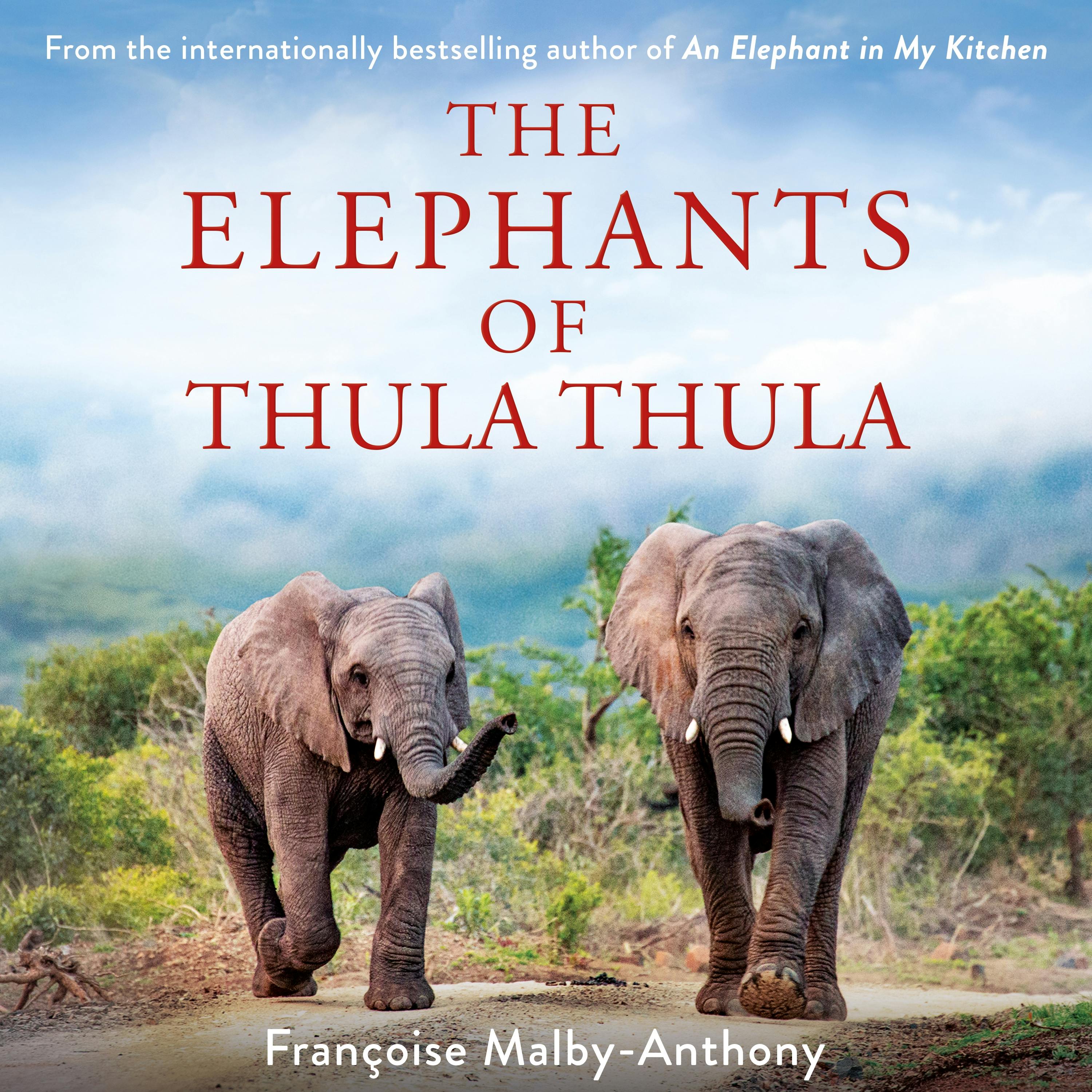 the elephants of thula thula        
        <figure class=