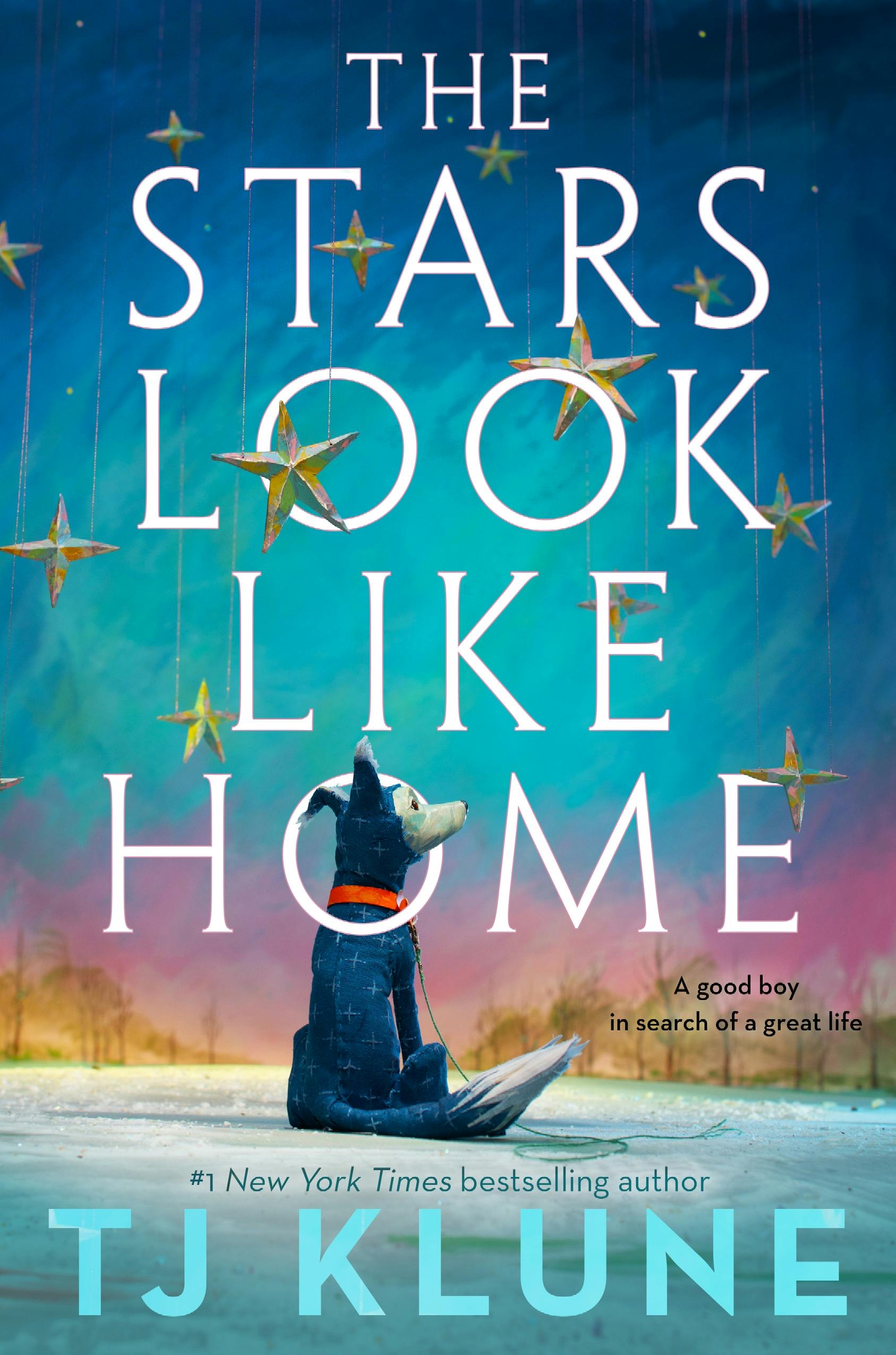 Cover for the book titled as: The Stars Look Like Home