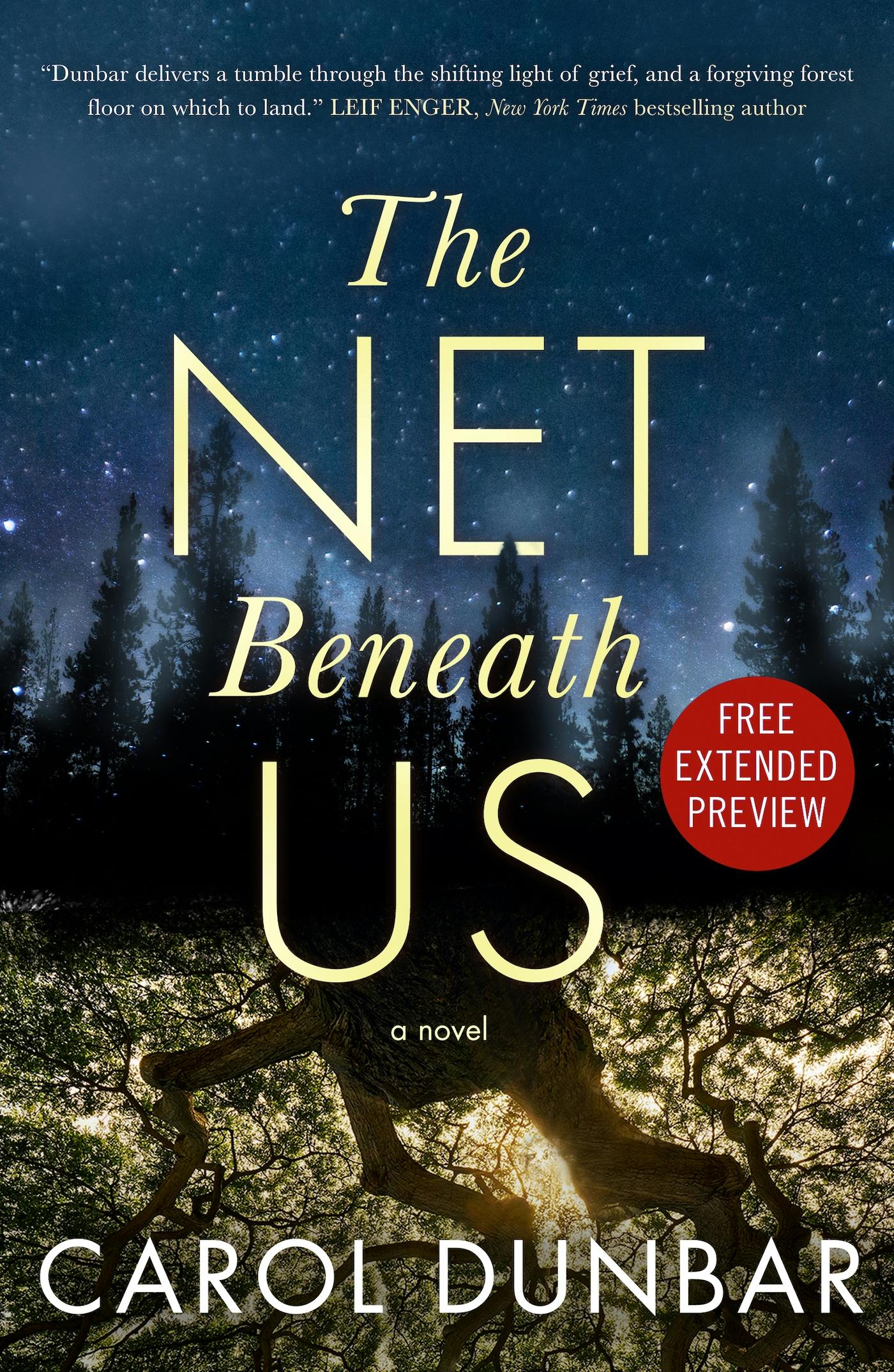 Cover for the book titled as: The Net Beneath Us Sneak Peek