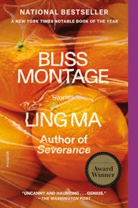 Bliss Montage book cover