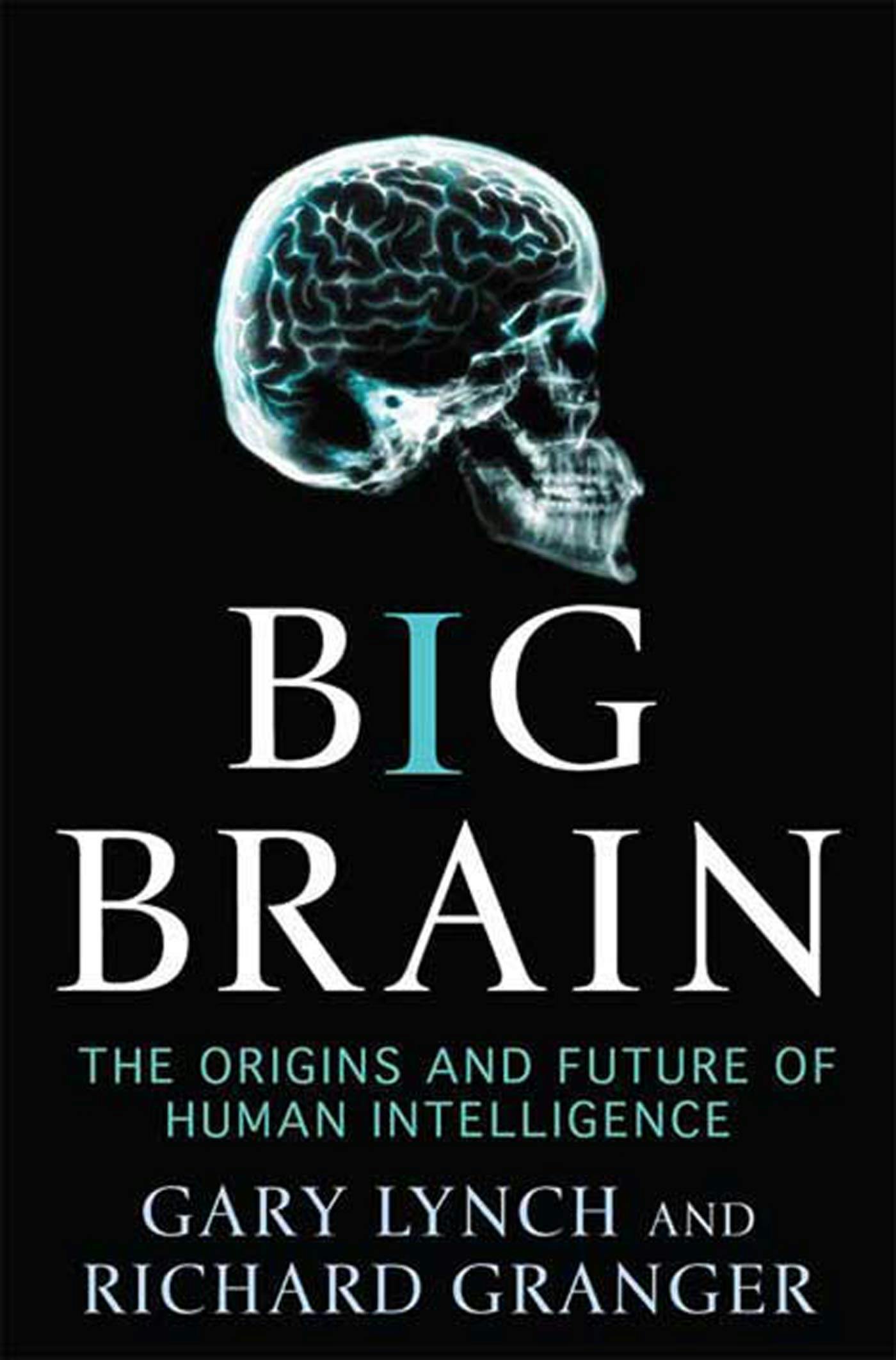 Image of Big Brain