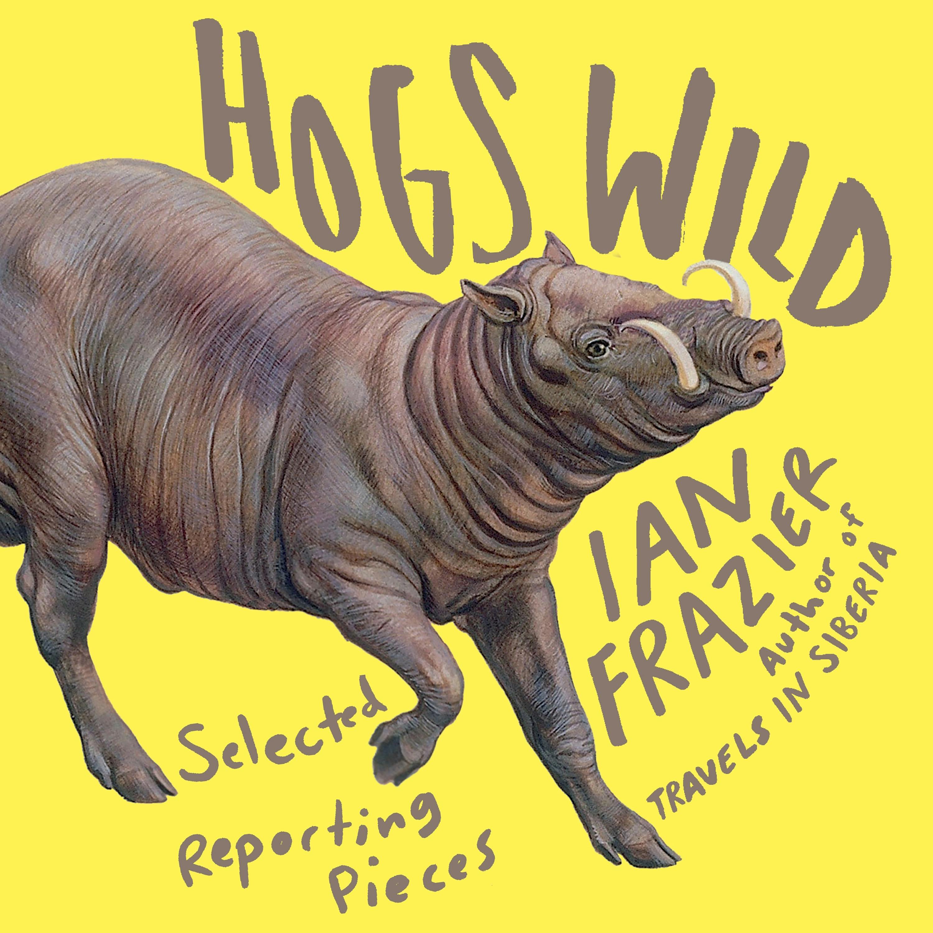 Hog Wild New Lenox - a3mcfy2