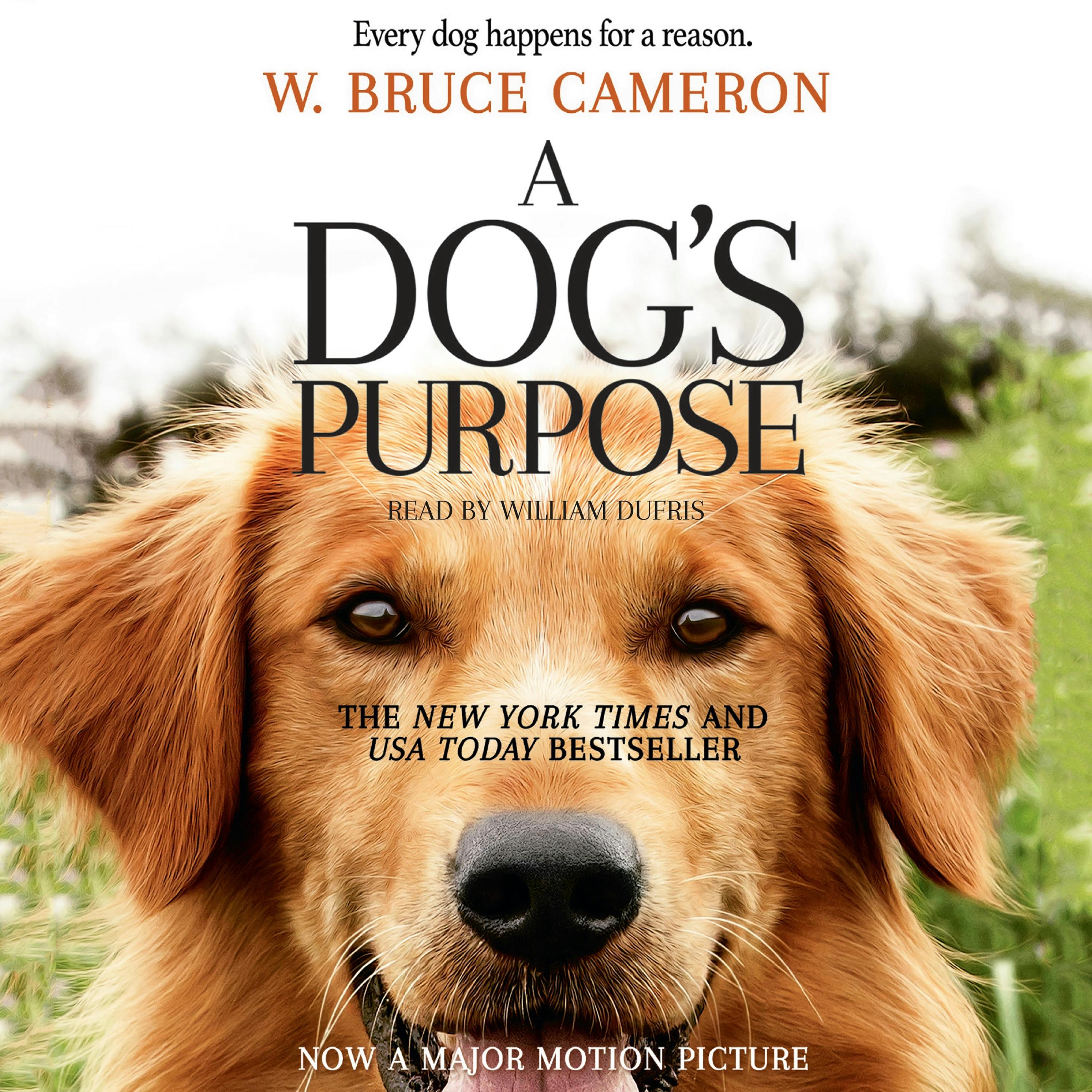 a dogs purpose author