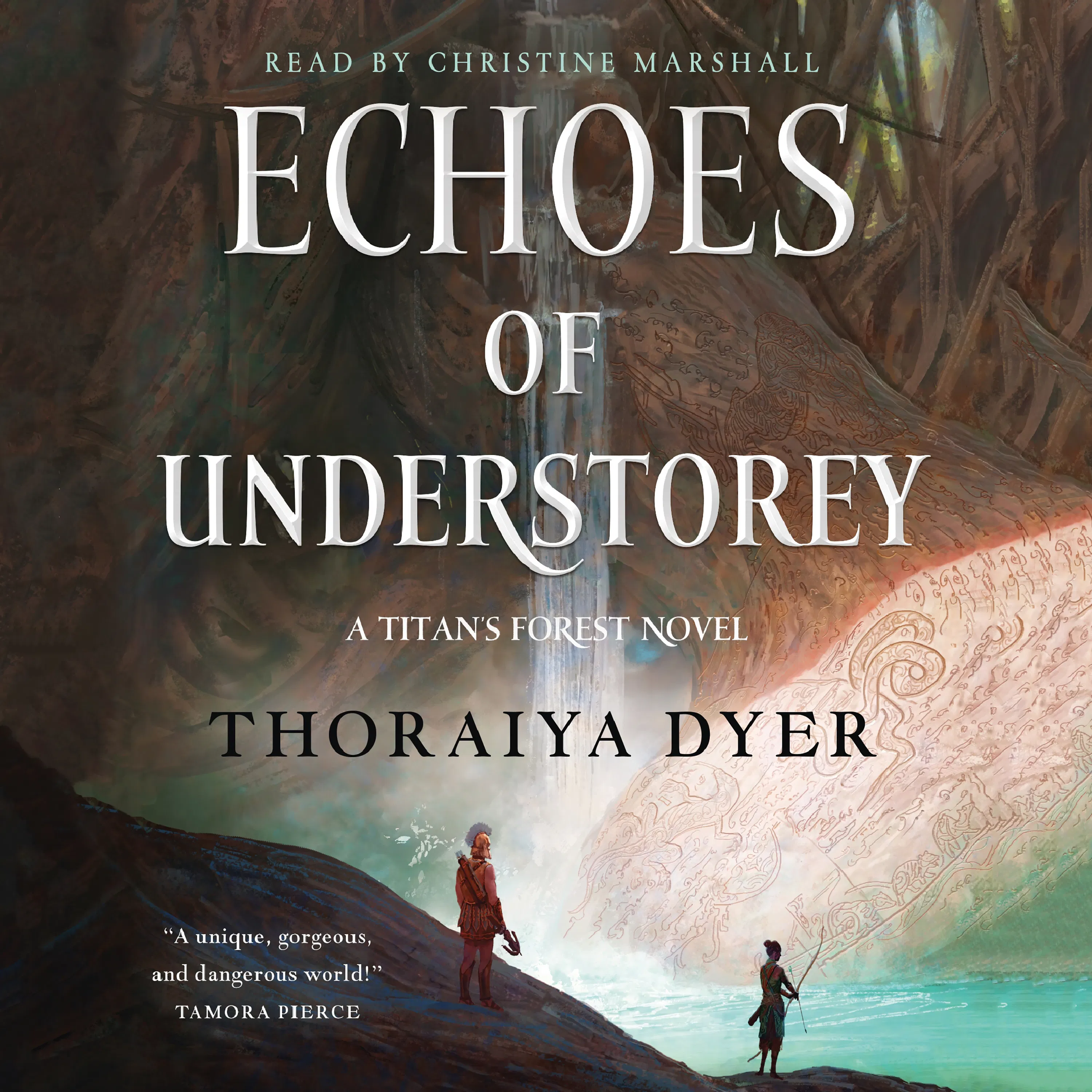 Cover for the book titled as: Echoes of Understorey