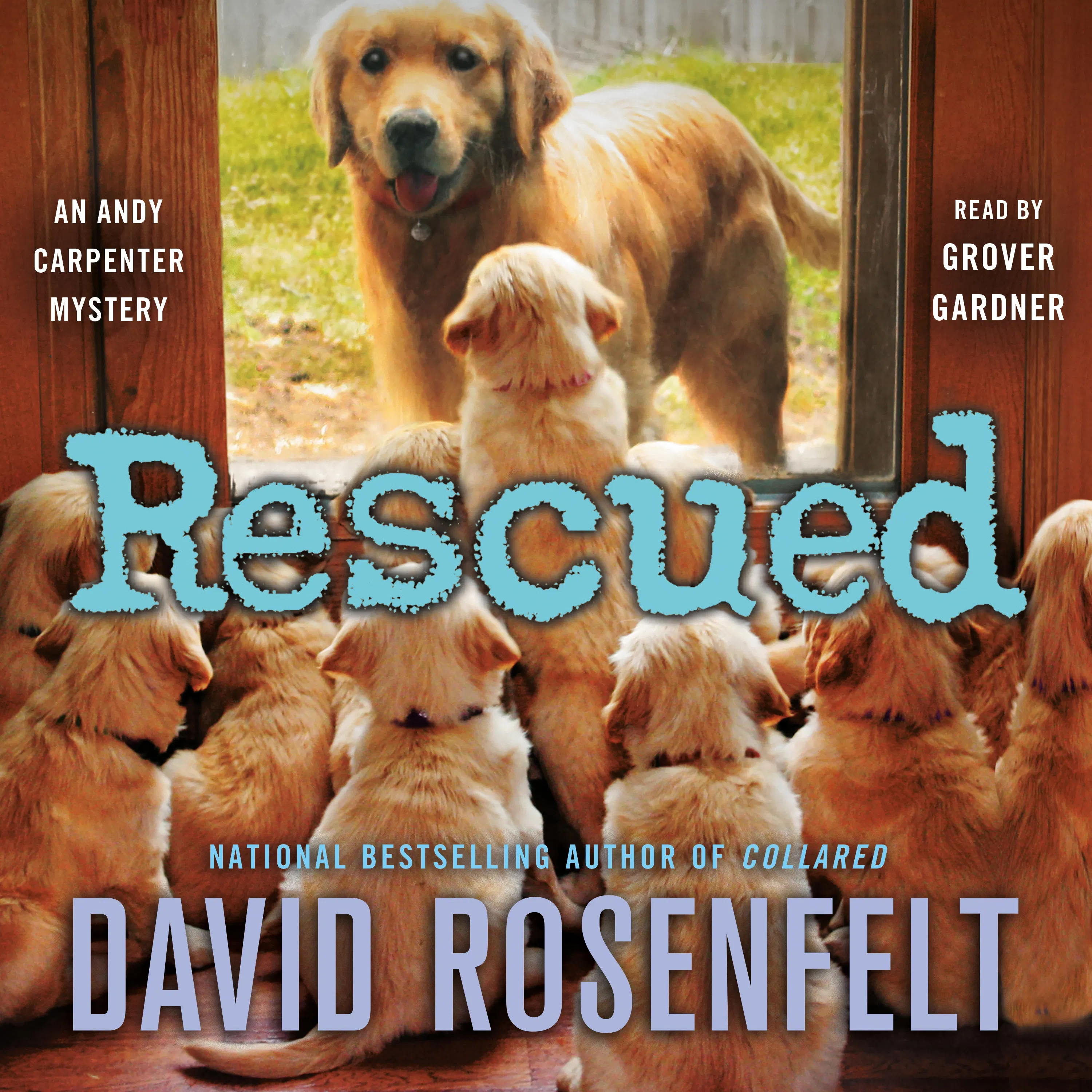 Retriver Rescue Books Rome Rescued