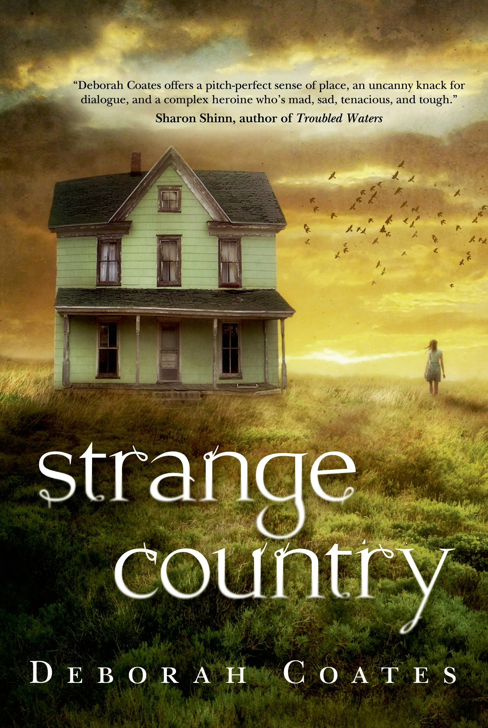 Cover for the book titled as: Strange Country