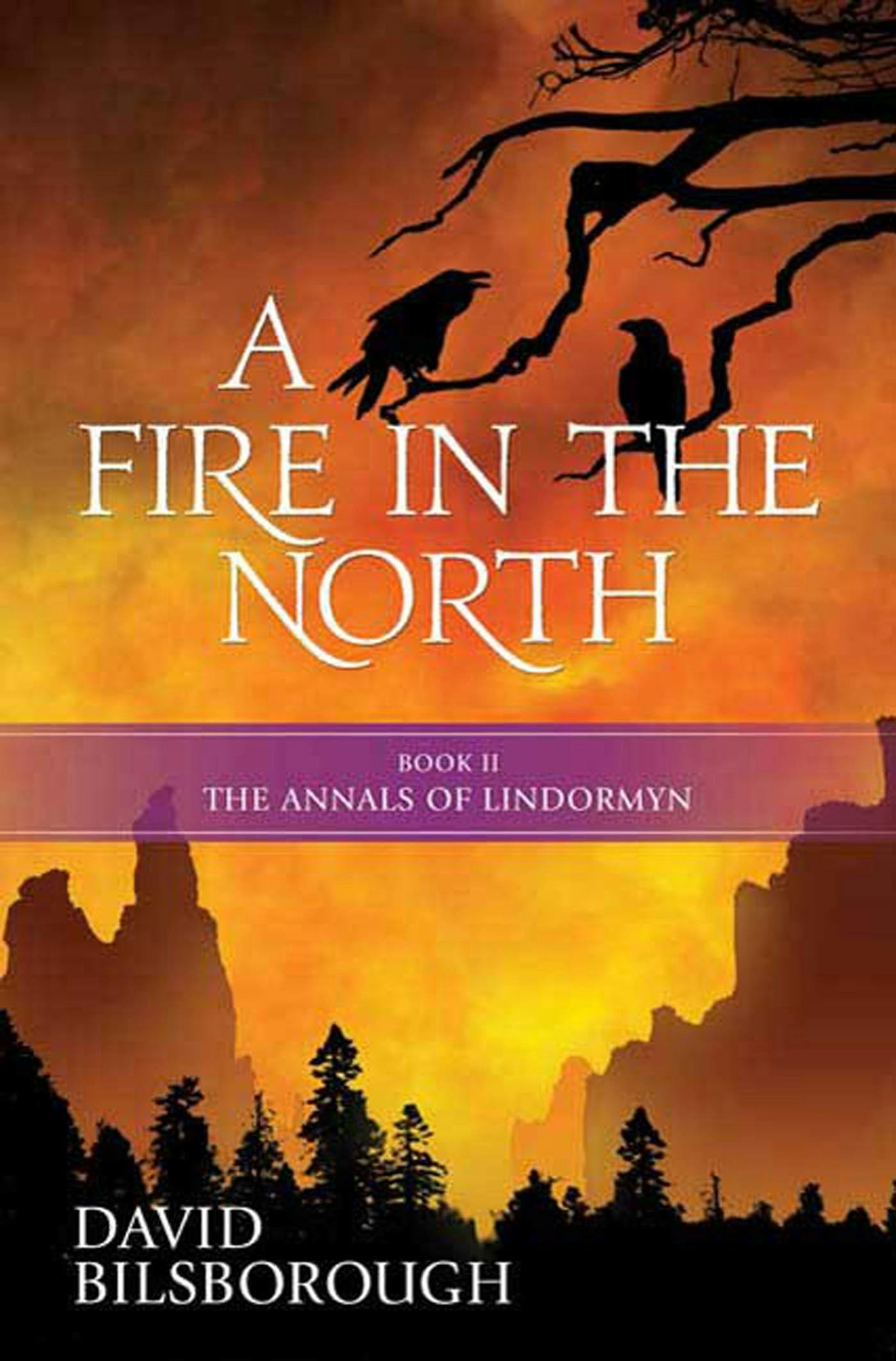 Cover for the book titled as: A Fire in the North