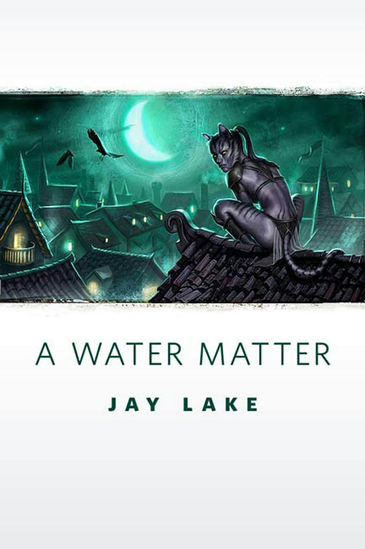 Cover for the book titled as: A Water Matter