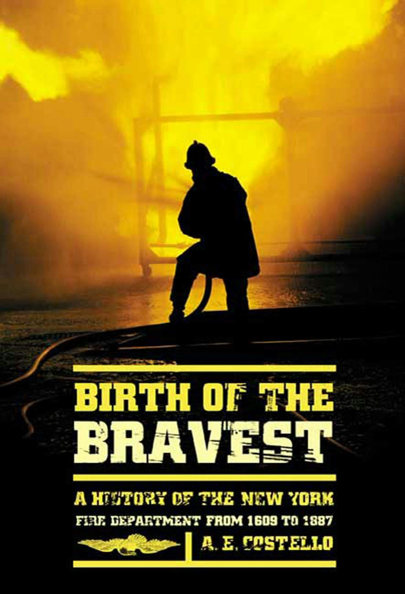 Cover for the book titled as: Birth of the Bravest