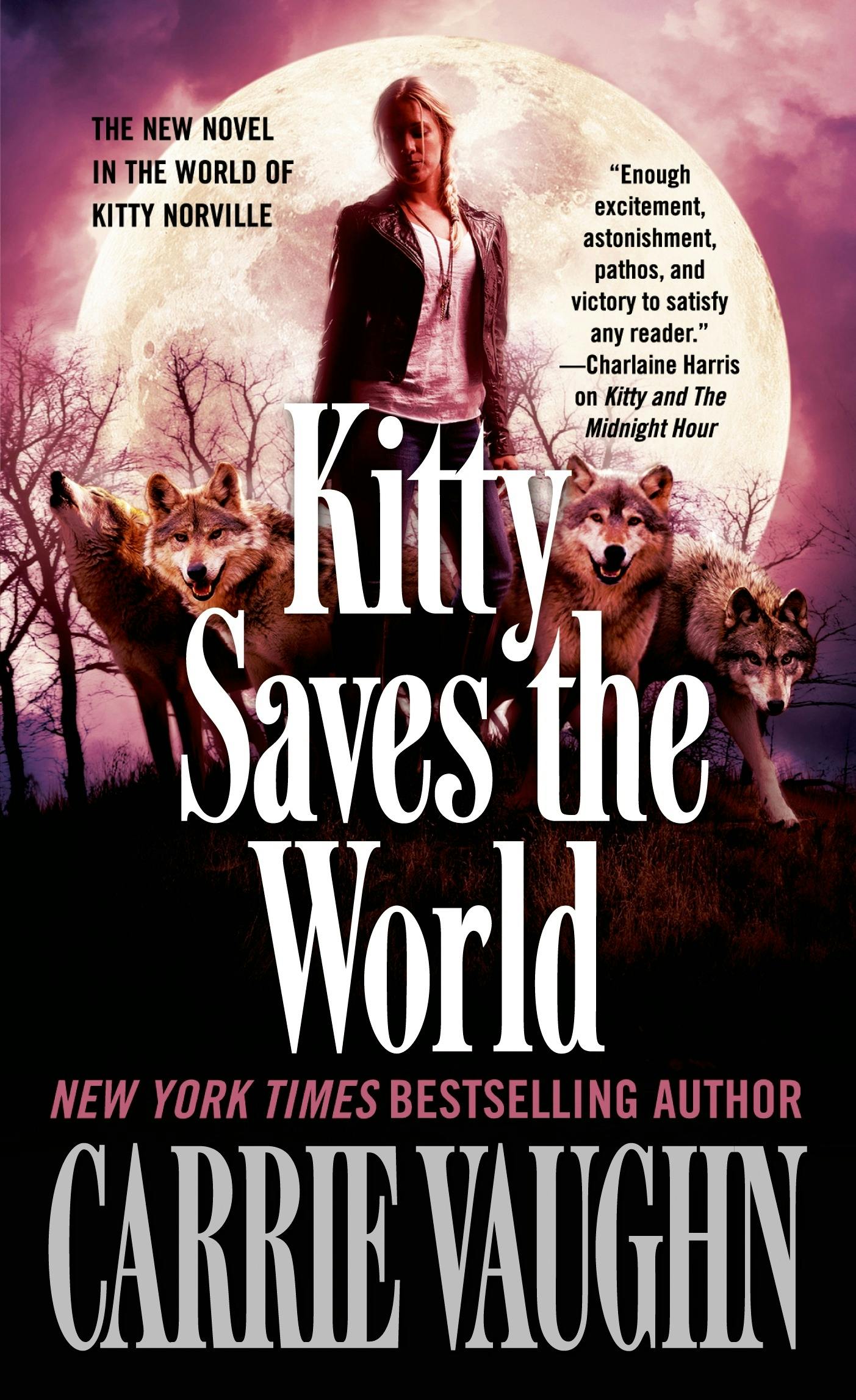 Image of Kitty Saves the World