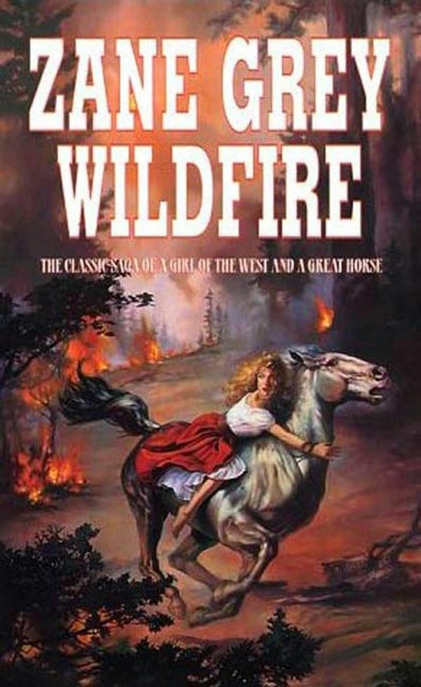 Cover for the book titled as: Wildfire