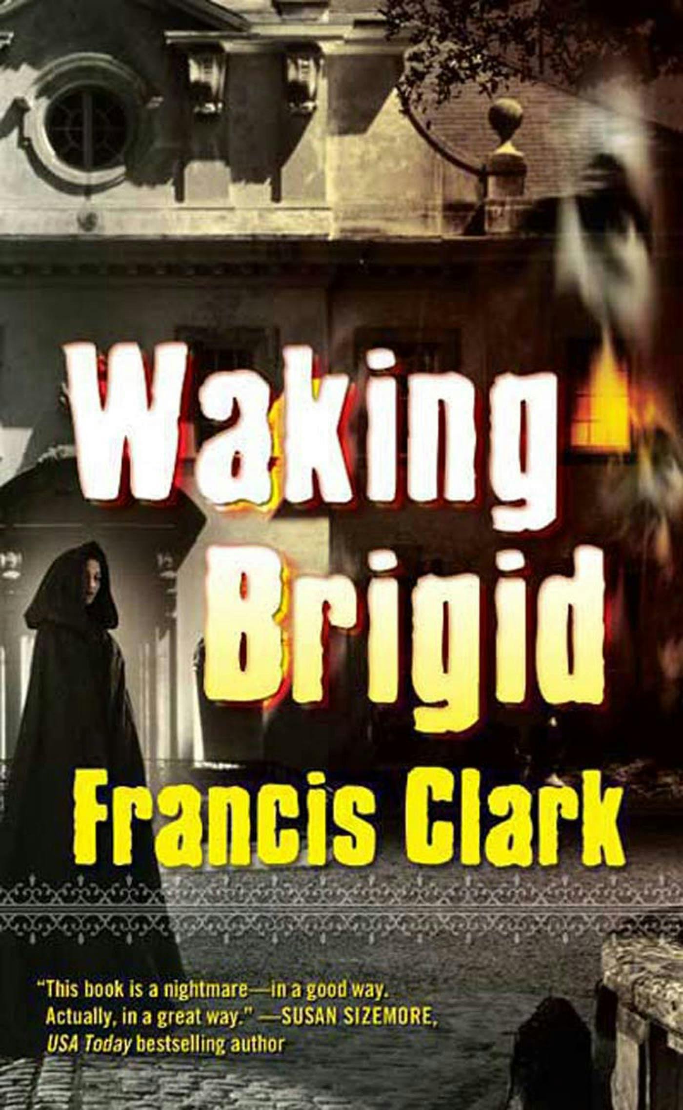 Cover for the book titled as: Waking Brigid