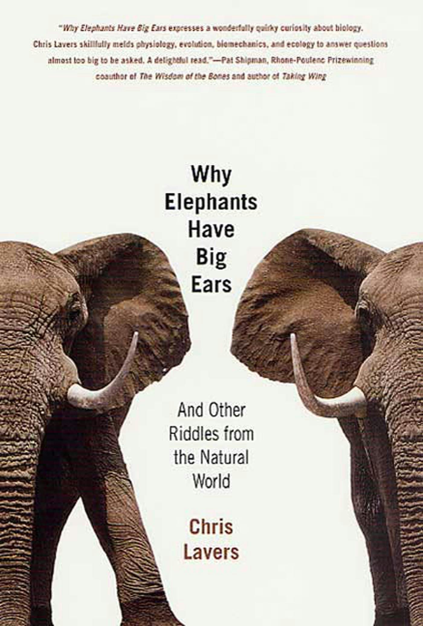Why Do Elephants Have Big Ears 