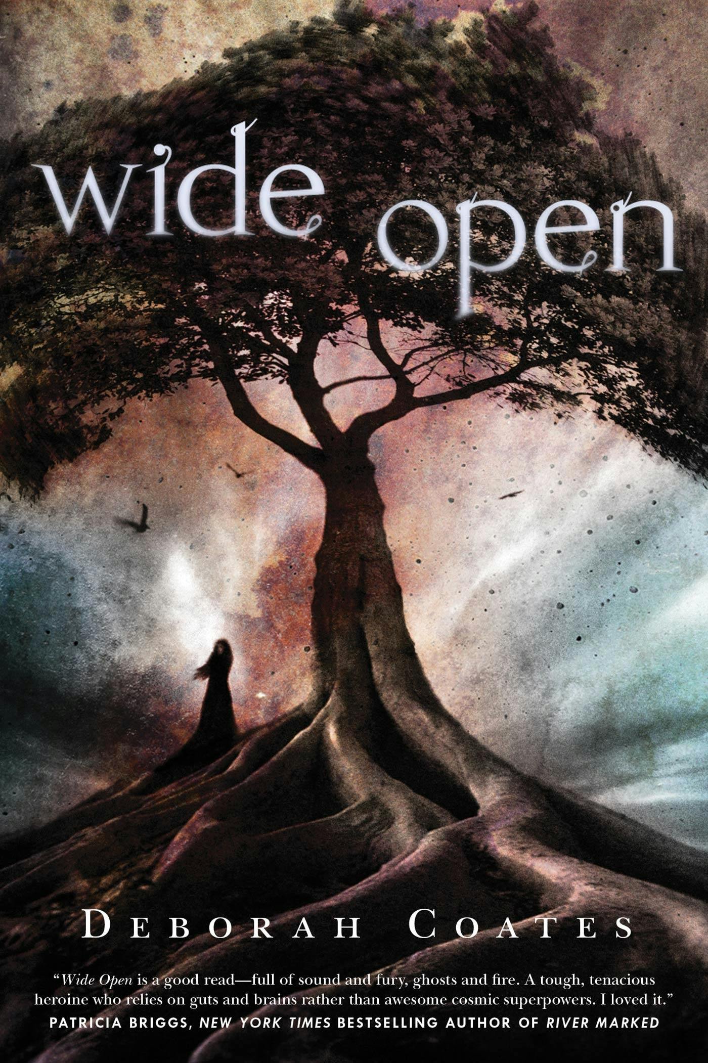 Image of Wide Open