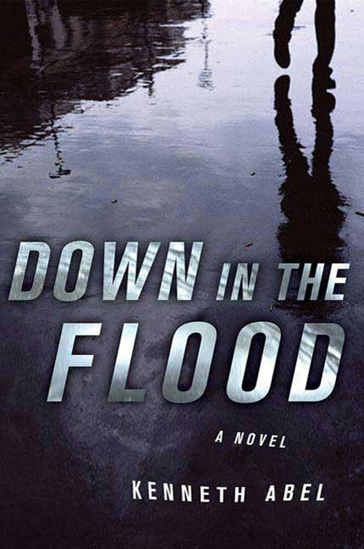 Image of Down in the Flood