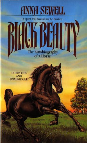 Black Beauty, a 141-year-old horse – LA BIBLIOTHÈQUE MONDIALE