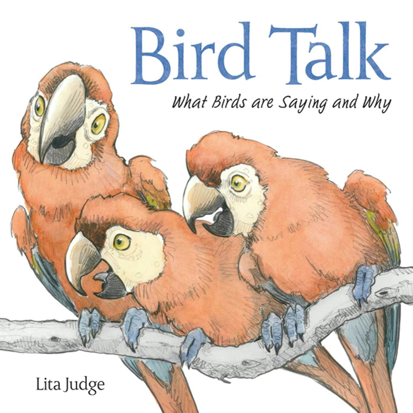 bird-talk