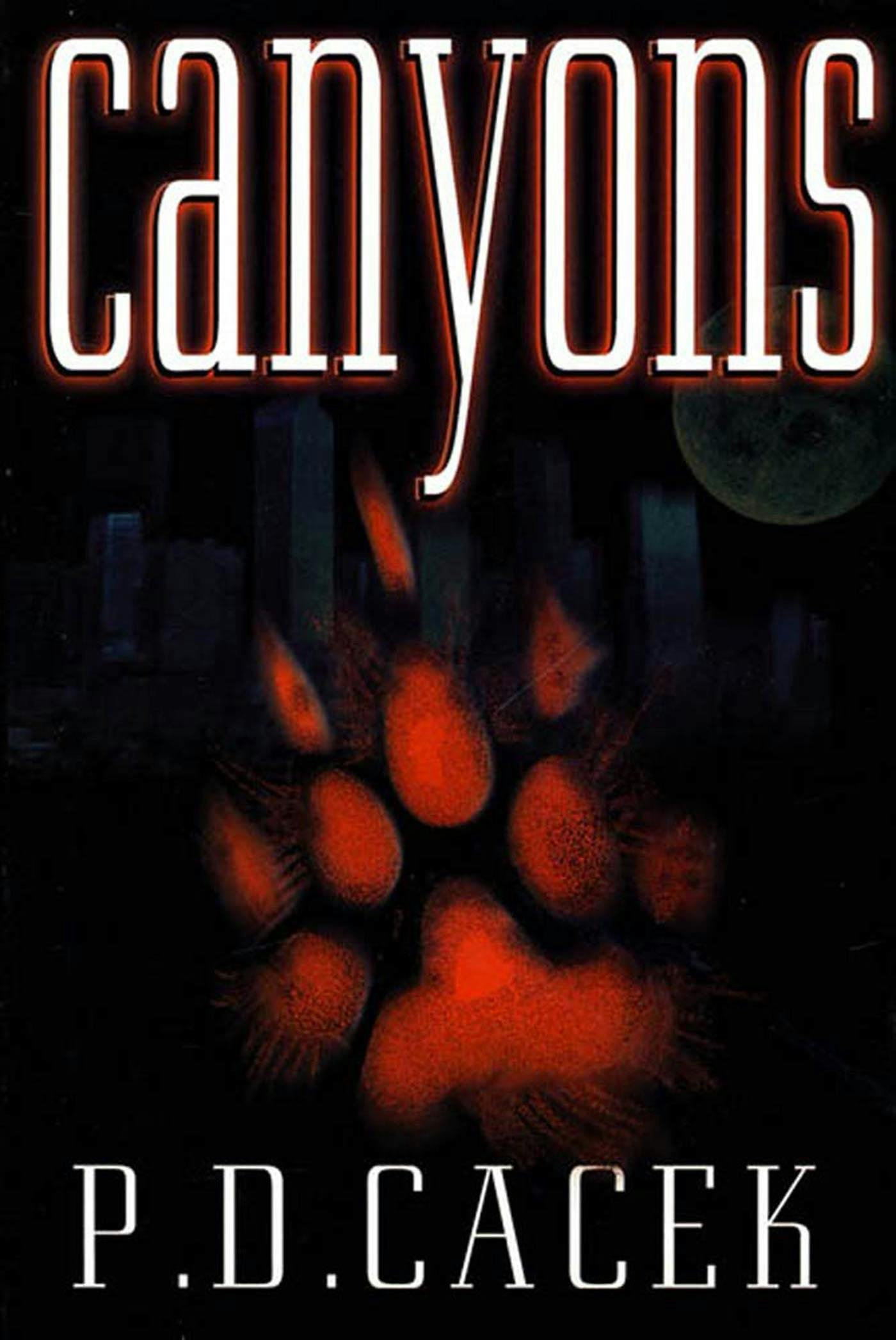 Cover for the book titled as: Canyons