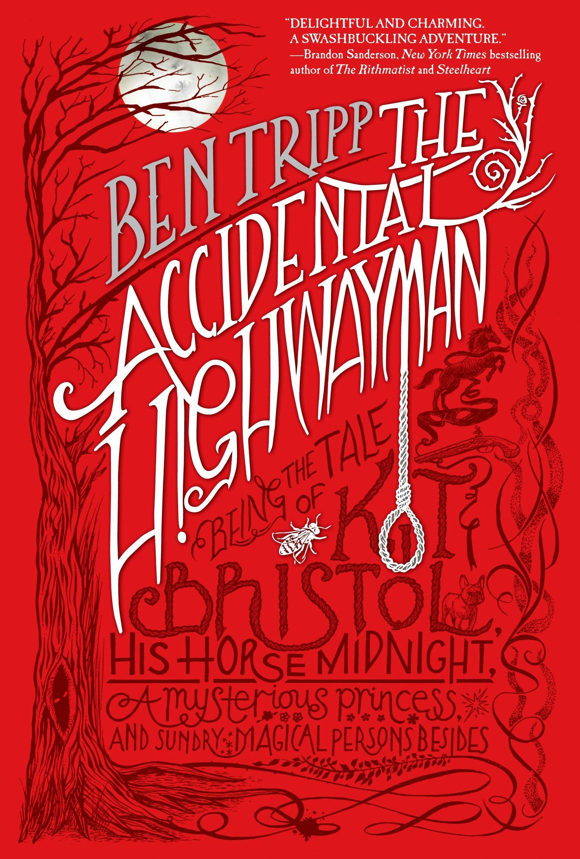 Cover for the book titled as: The Accidental Highwayman