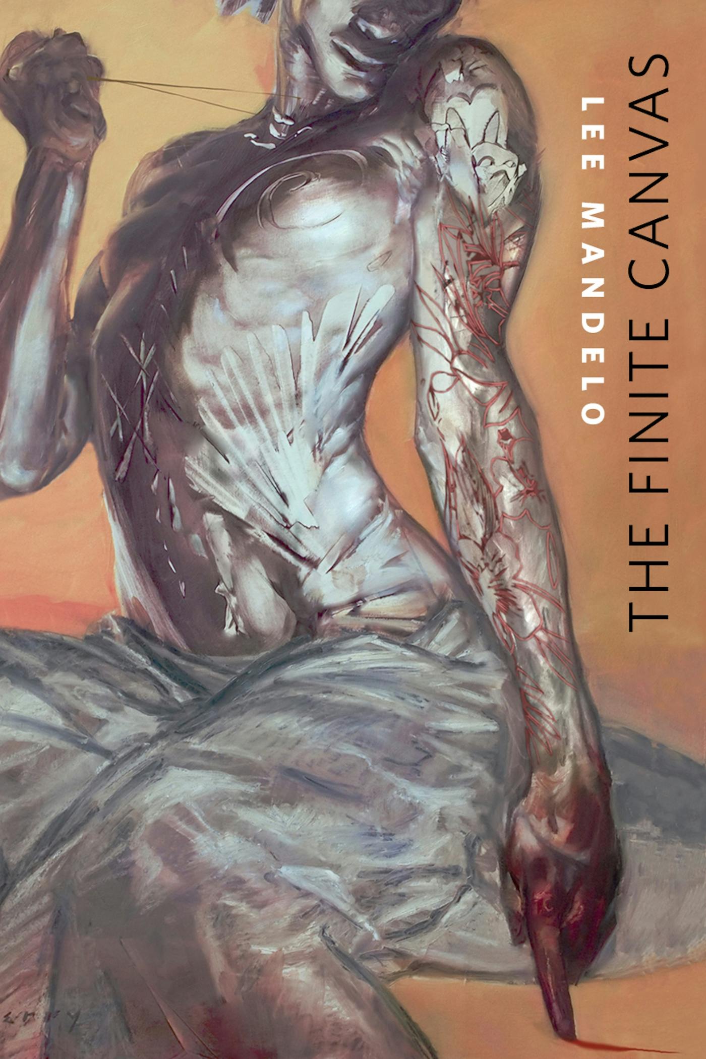 Cover for the book titled as: The Finite Canvas