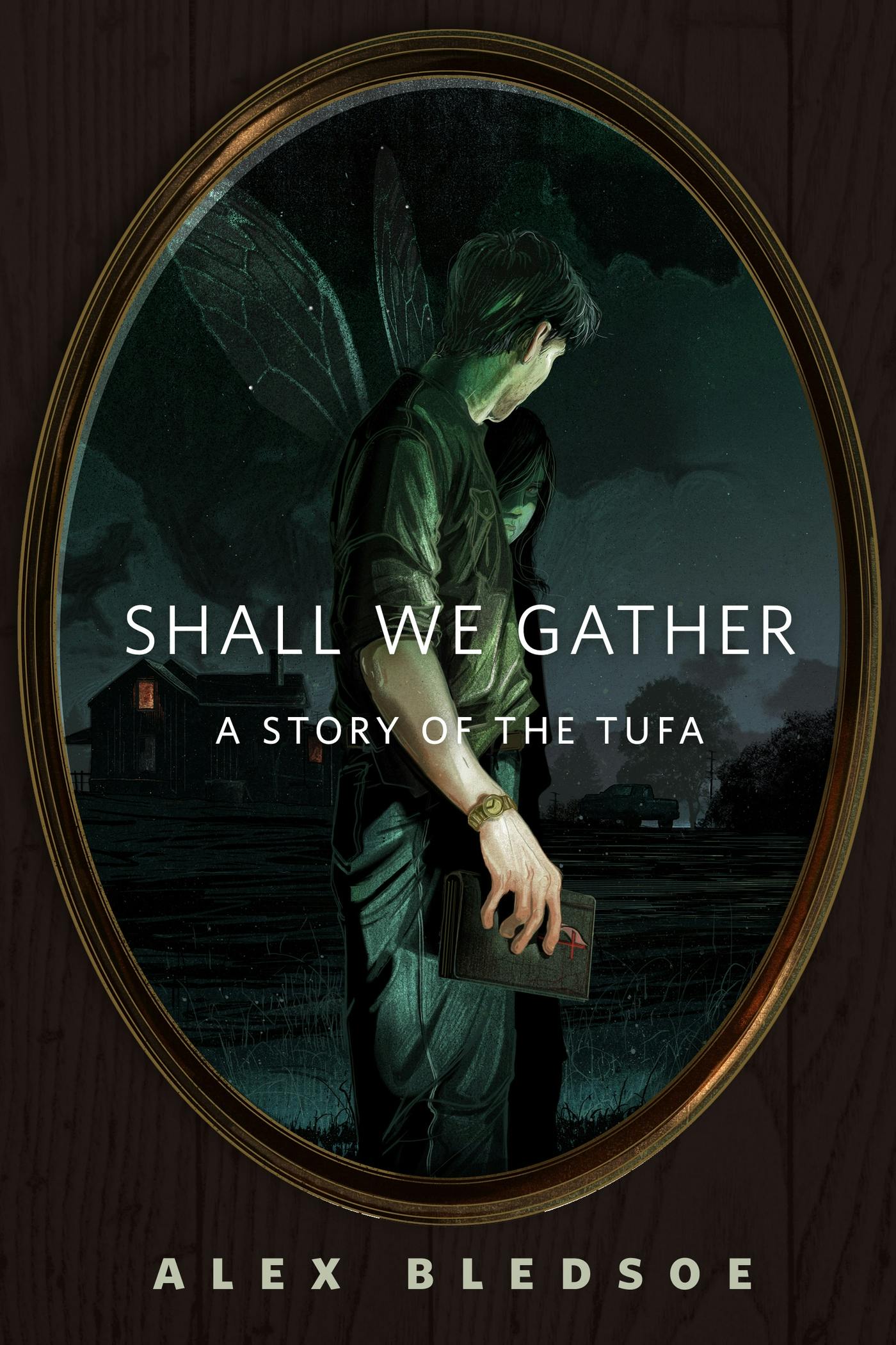 Cover for the book titled as: Shall We Gather