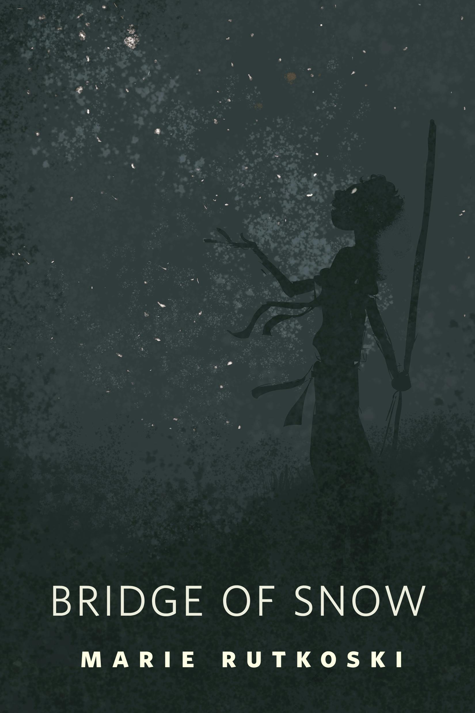 Cover for the book titled as: The Bridge of Snow