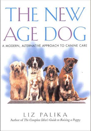 what is the latest age to breed a dog