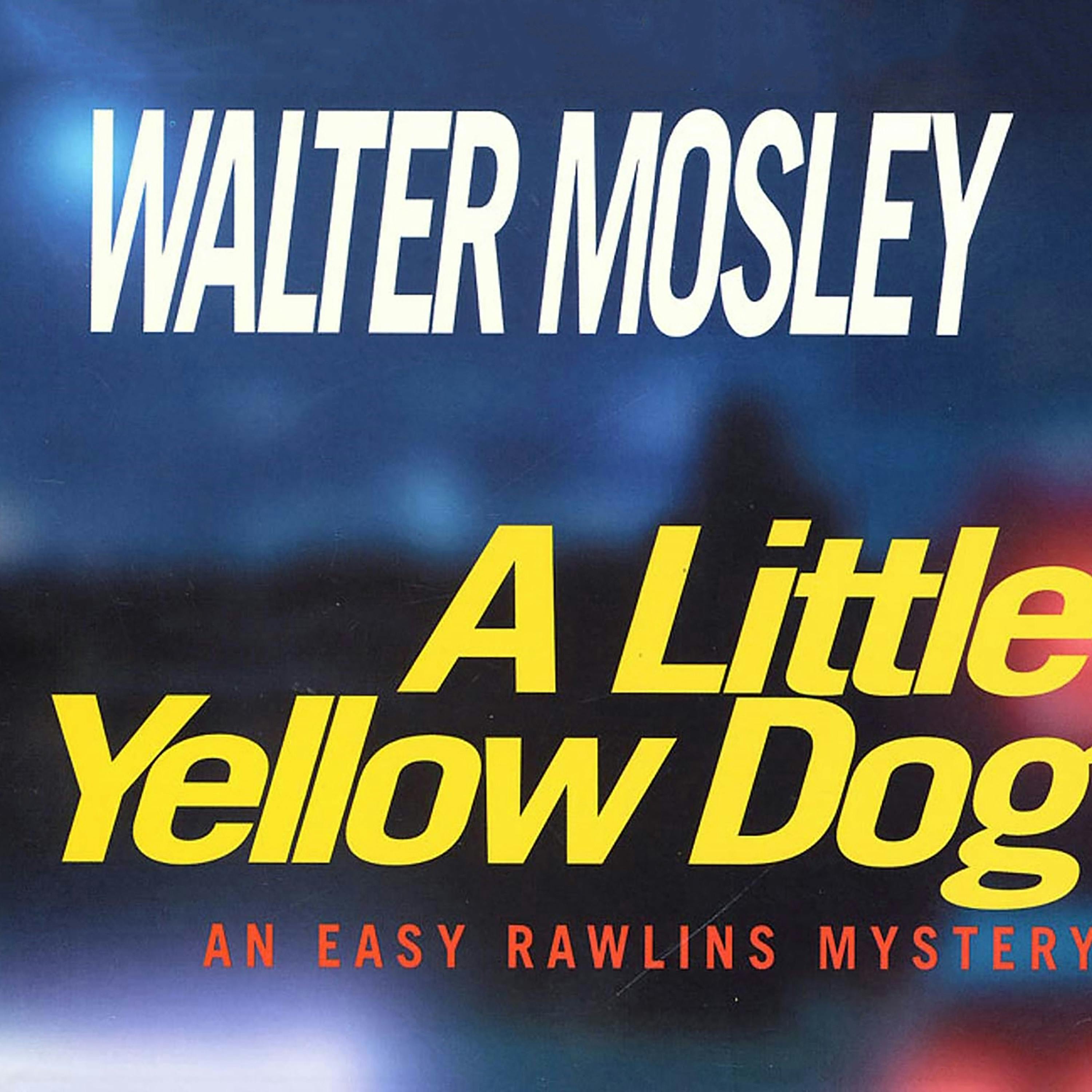 Image of A Little Yellow Dog