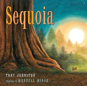 Sequoia